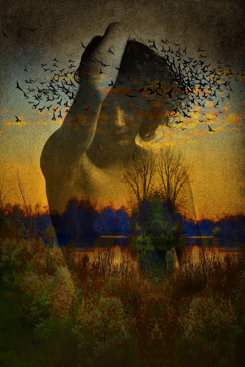 与文字语言,音乐语言等不同,影像语言是一种非语言符号系统,通过图像