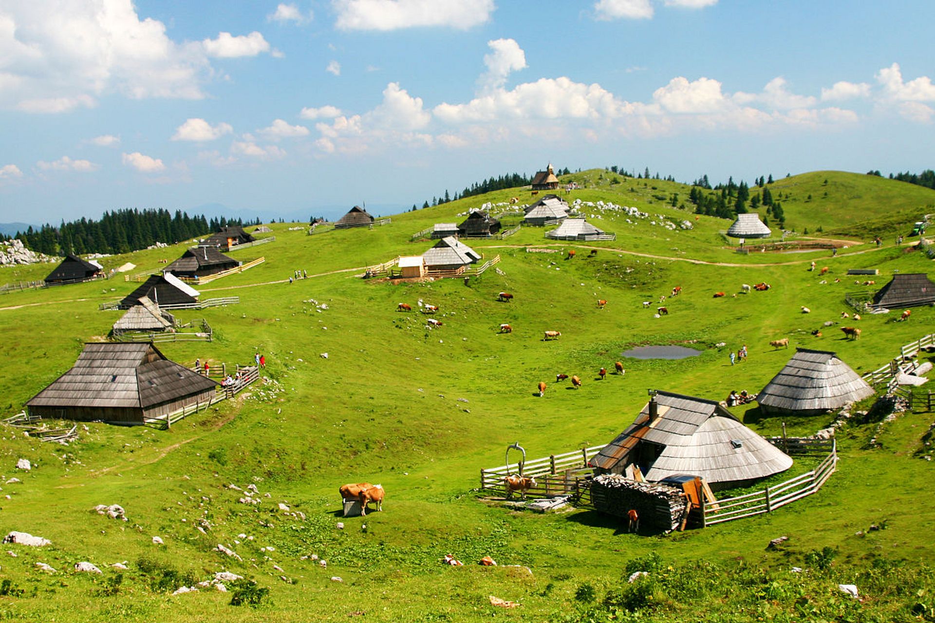 重庆武隆仙女山国家森林公园风景区,国家地质公园,国家级森林公园,地