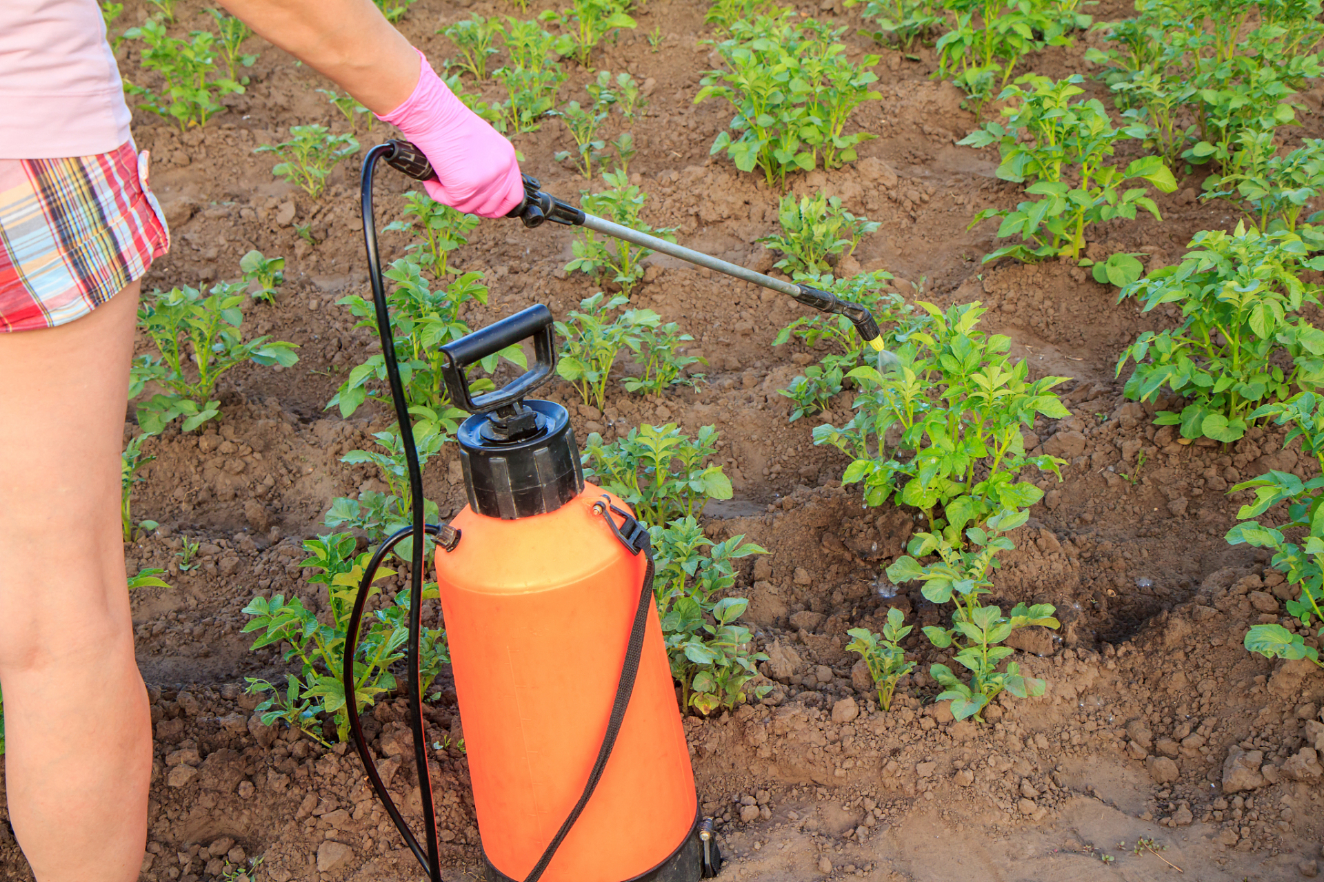 滴灌施肥器是一种高效,节水的灌溉设备,它可以将水和肥料直接滴入