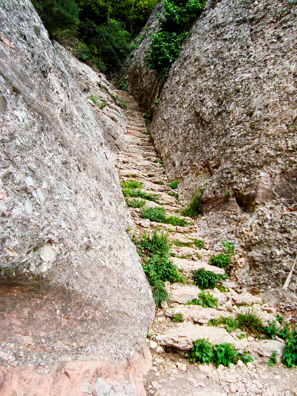 才能使自己的脚跟变的更稳;人只有在布满荆棘的路上,才能使自己的身体