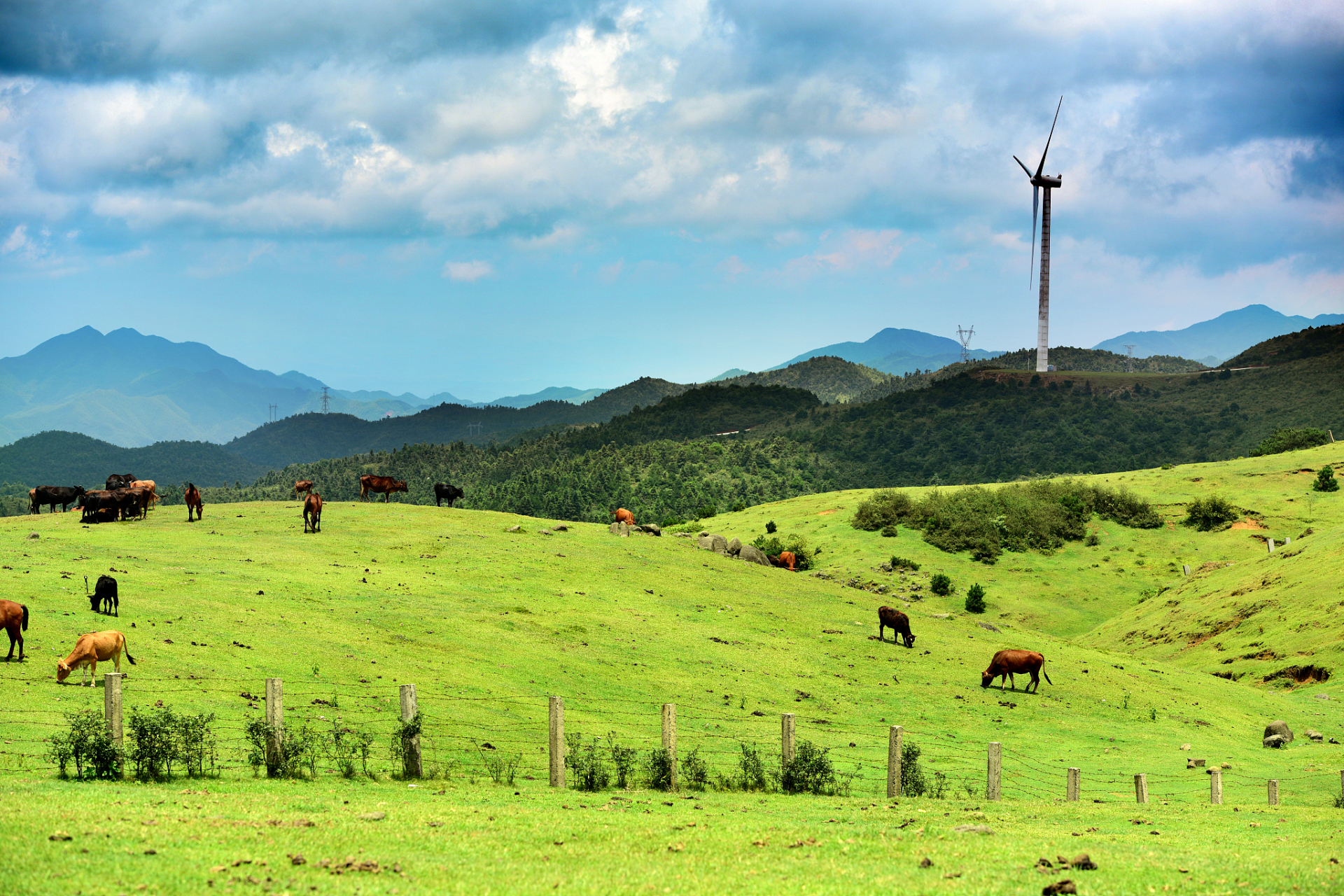 周末,约上三五好友一起到巫溪红池坝国家森林公园避暑吧!