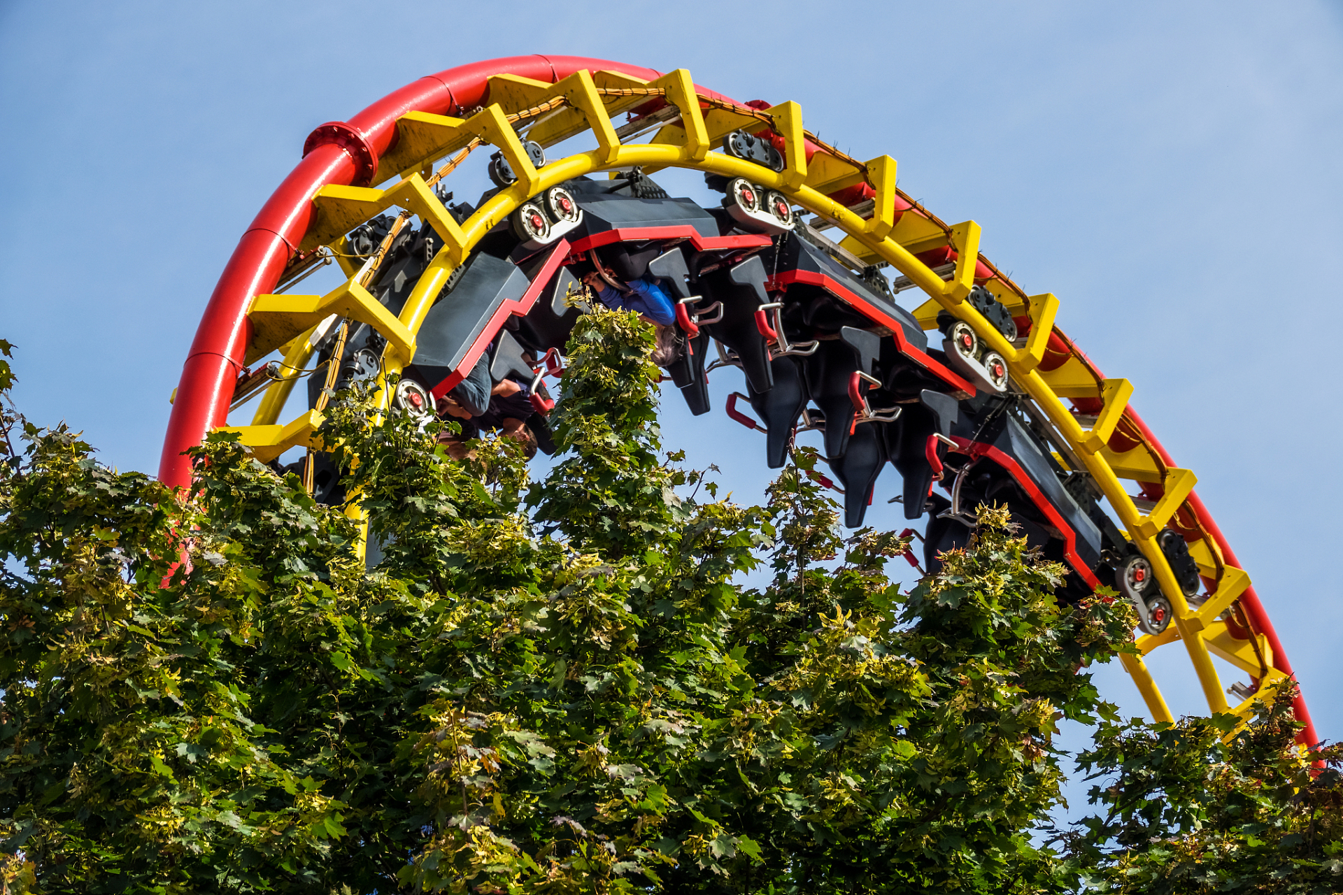 我太爱去游乐园了!谁说只有小孩子才能玩乐园呢?