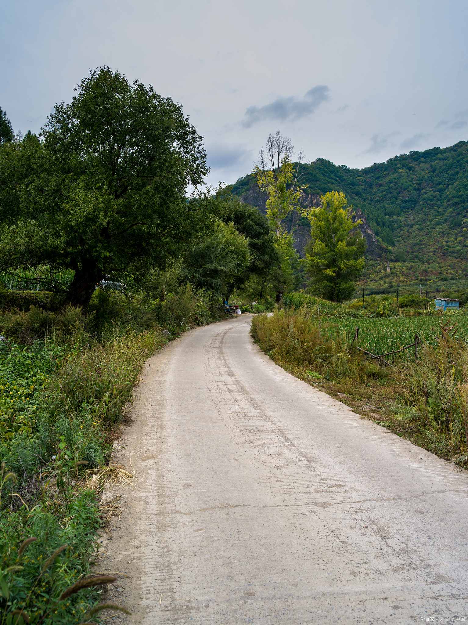 山东济南一起离奇的报警事件引起了警方的关注