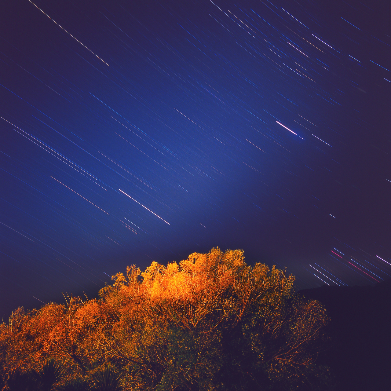 人们通常把狮子座流星雨称为流星雨之王. 它的辐射点位于狮子座.