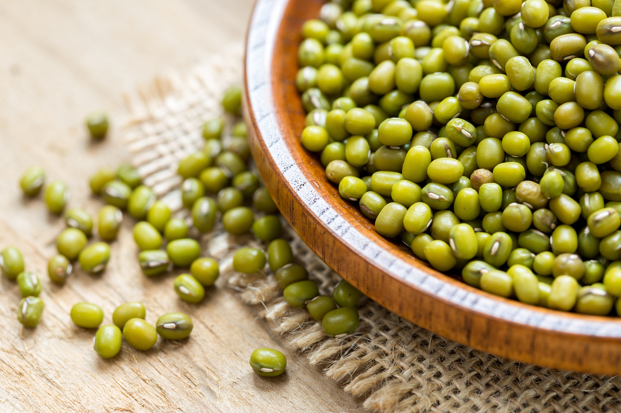 绿豆的生长过程展现了生命的循环和永恒的奥秘,为我们带来了无尽的