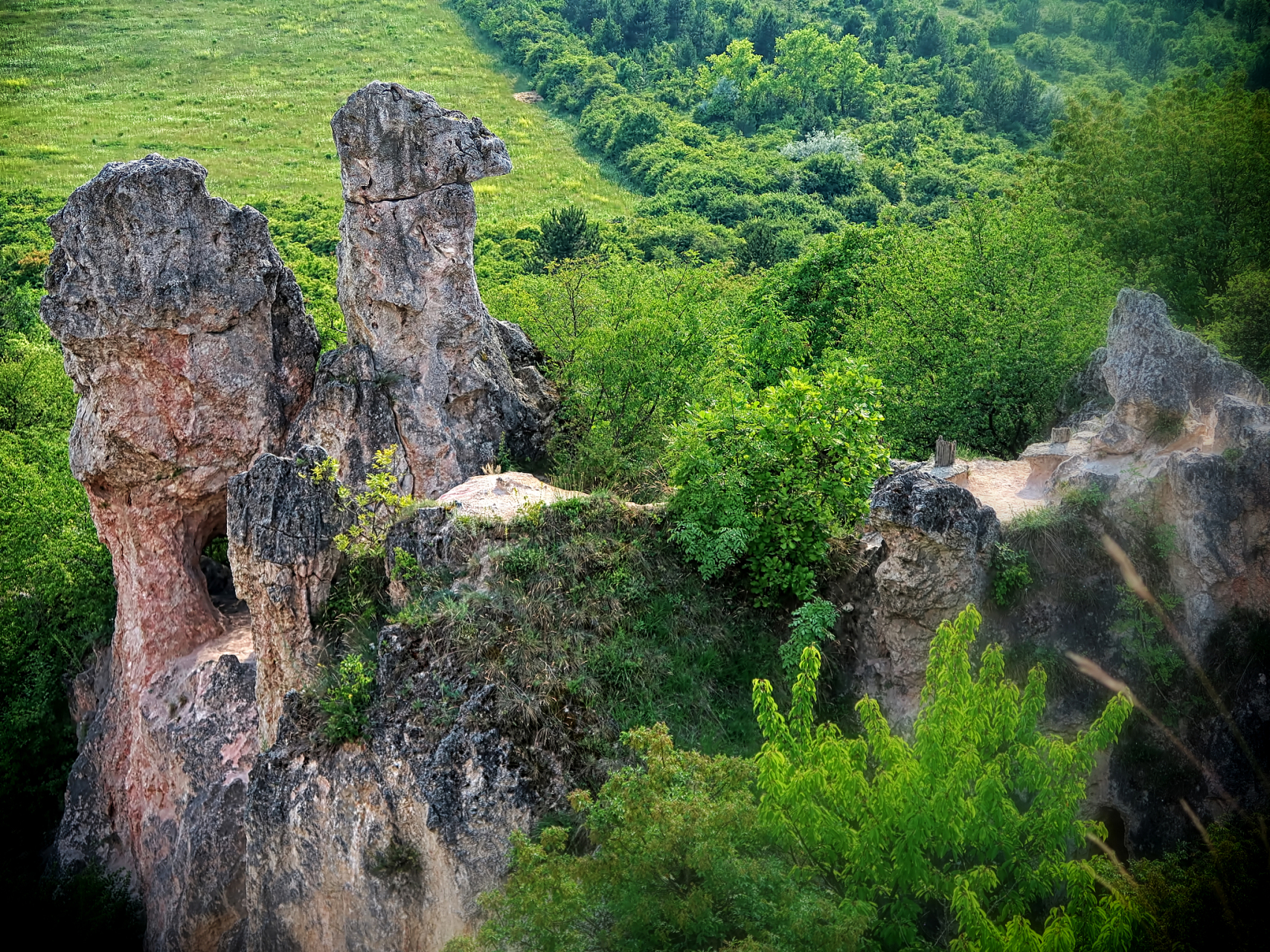 伏牛山地质公园:探秘自然的奇妙之旅  伏牛山地质公园,位于中国河南省