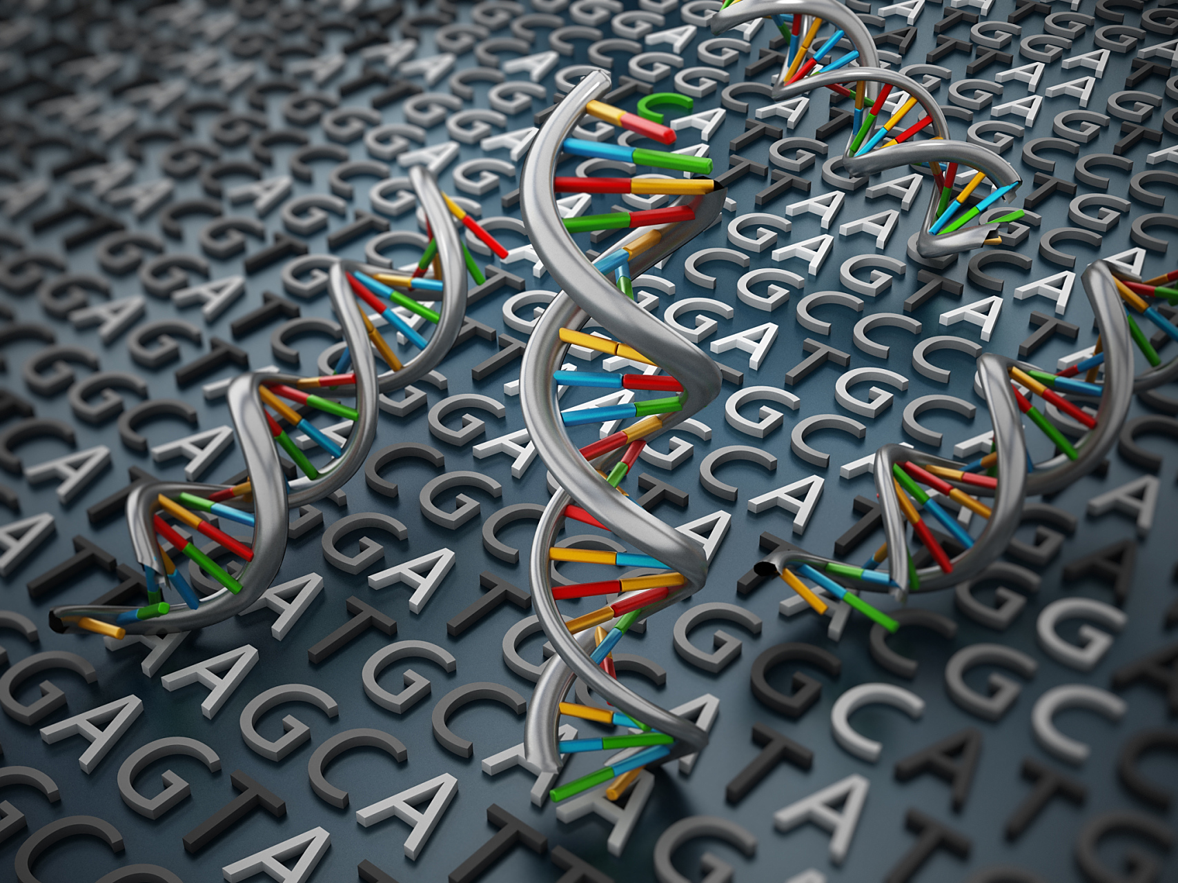 基因组的大小和结构是生物物种多样性的重要组成部分.