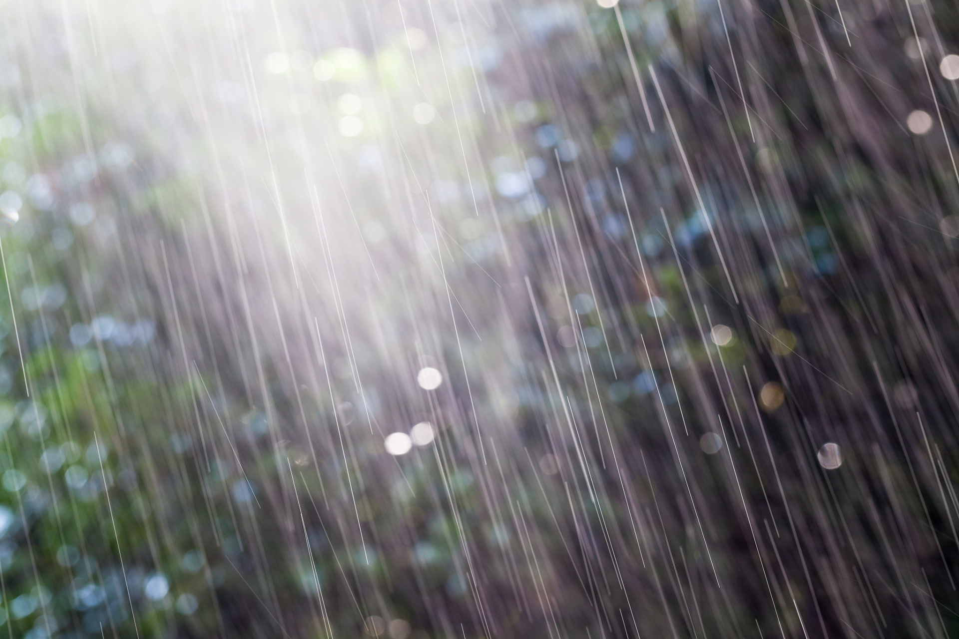 在这样的夜晚,我独坐窗前,沉浸在这场大自然的狂欢中.