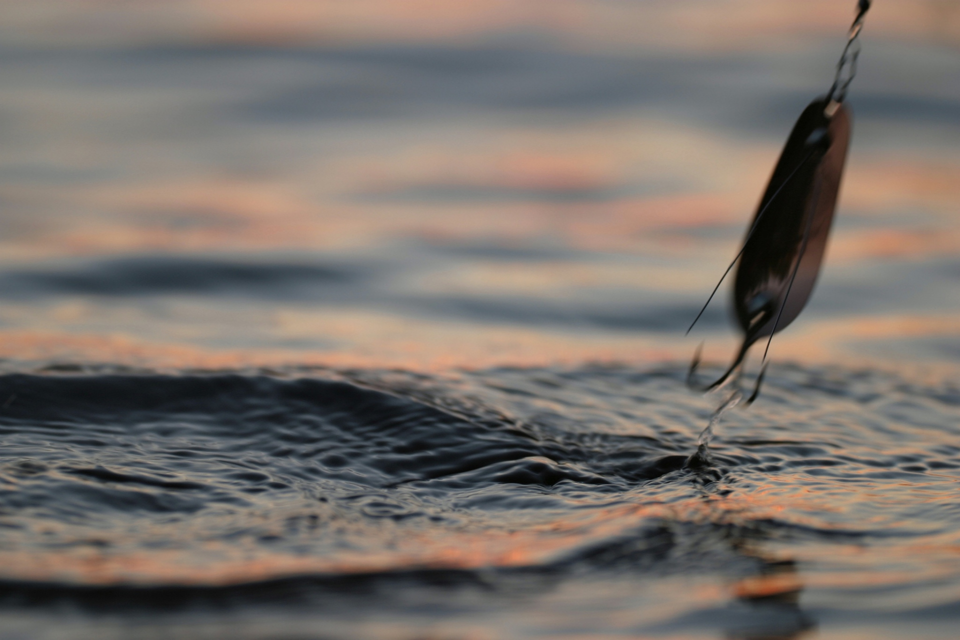 "授人以鱼,不如授人以渔"这句谚语强调了培养解决