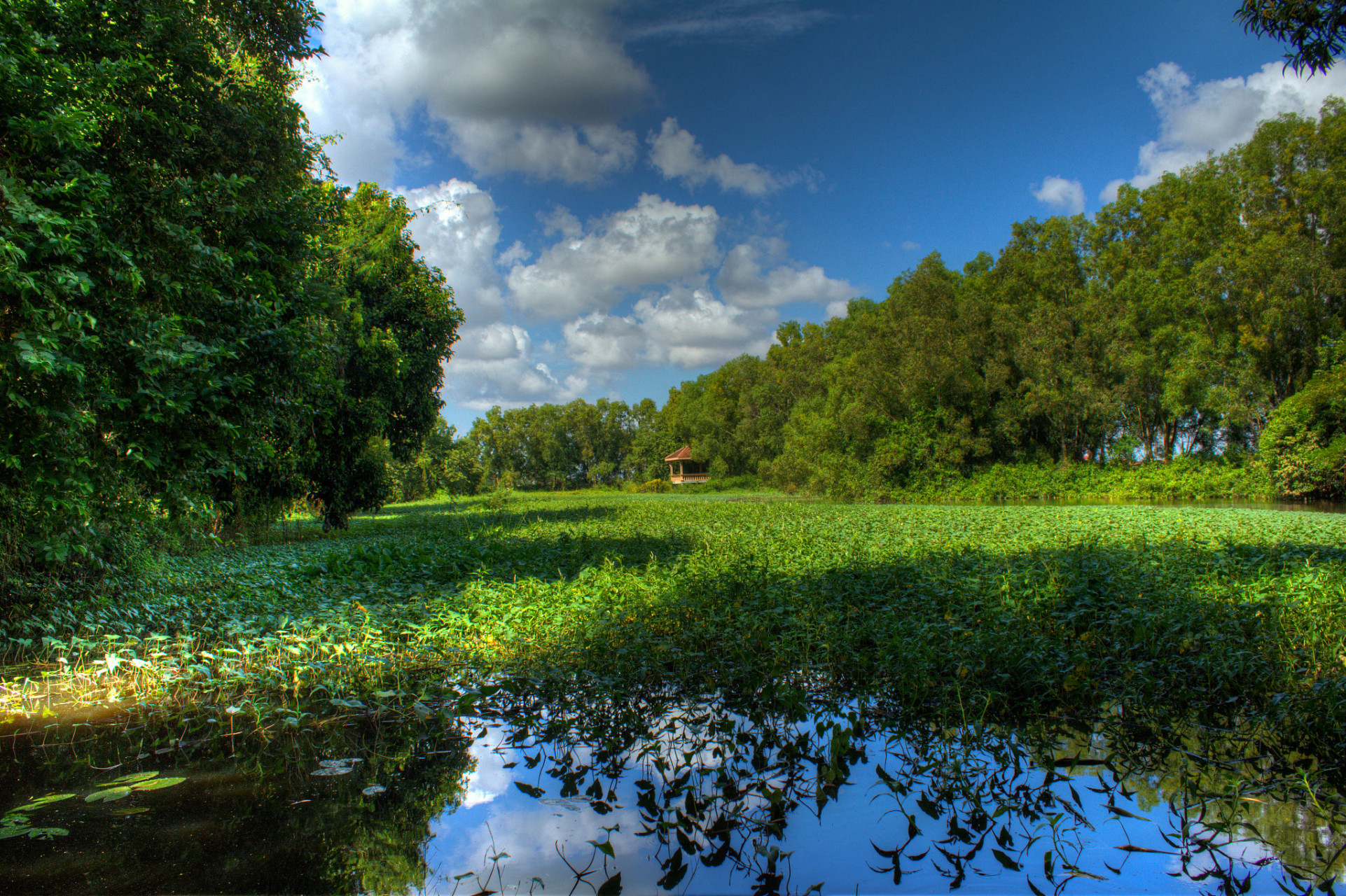 自然景观的美:这包括自然界的景色,形态,色彩,声音等,如山川,河流