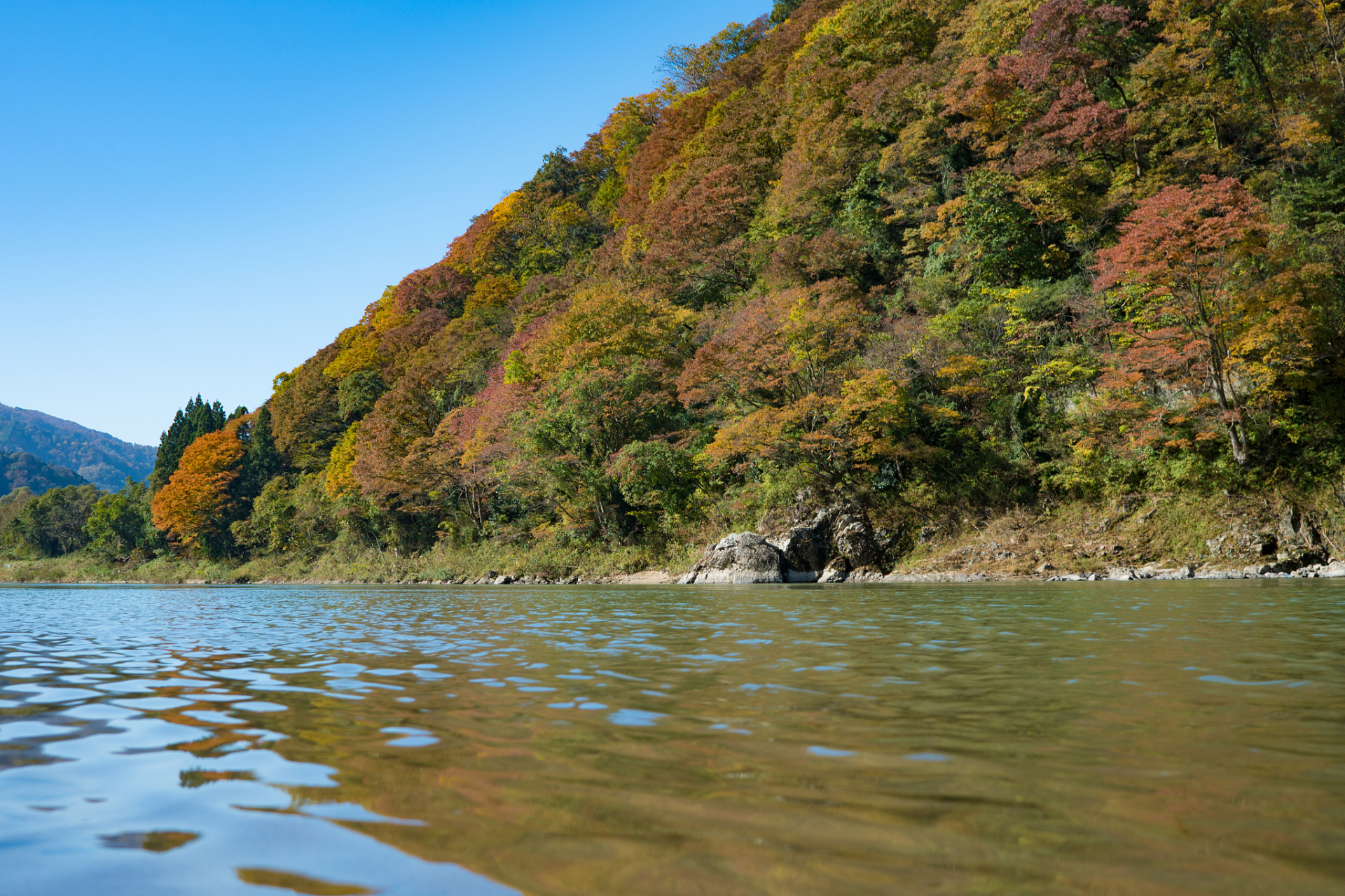 是的,重庆是一个拥有壮丽山川和壮丽江水的城市,秋天的时候更是美不