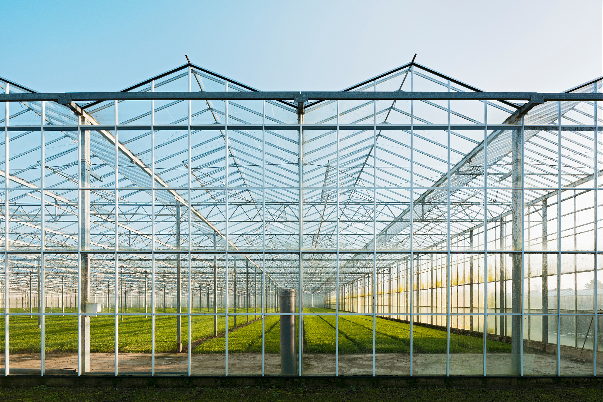 钢结构大棚,稳固耐用又长寿!钢材构建让你省心省力