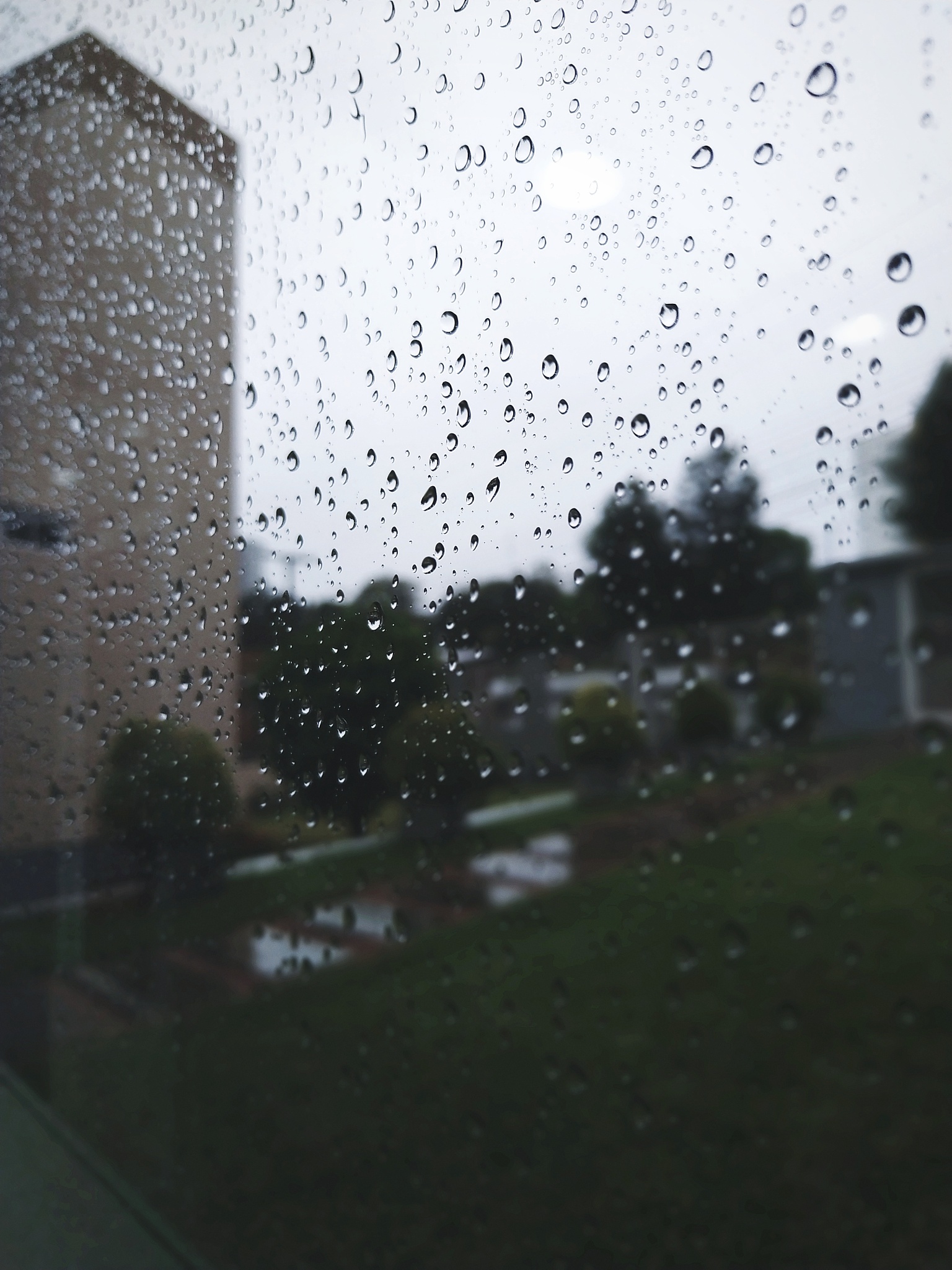 雨丝如琴弦轻弹,滴滴答答在窗前,奏出一段无言的旋律.