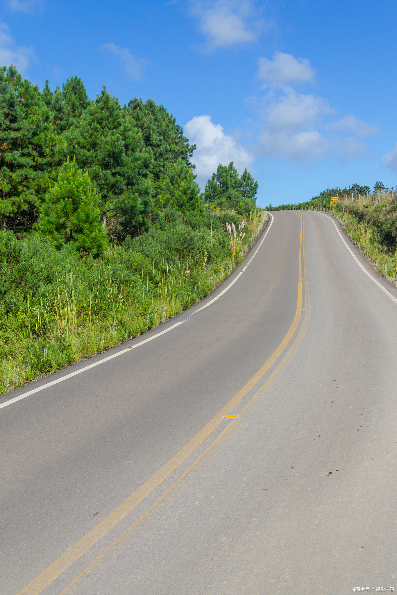 2,家中的狗莫名对着一处狂吠不停,可在那地方撒