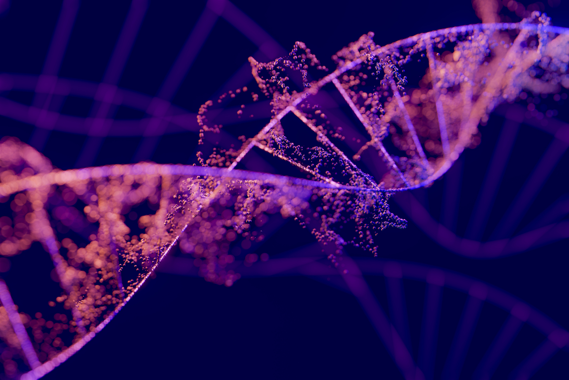 它涉及到多个学科领域,如生物学,工程学,计算机科学等