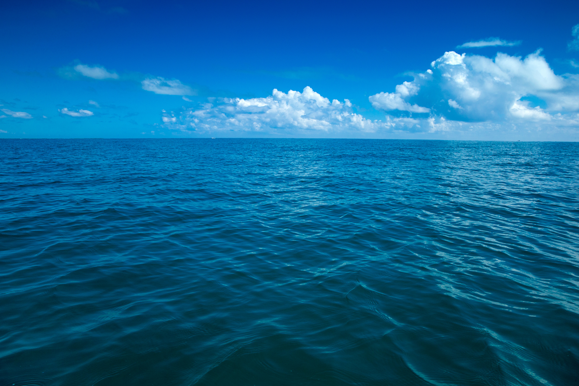 回不去了,你再好终究也与我没有关系了,放下一个