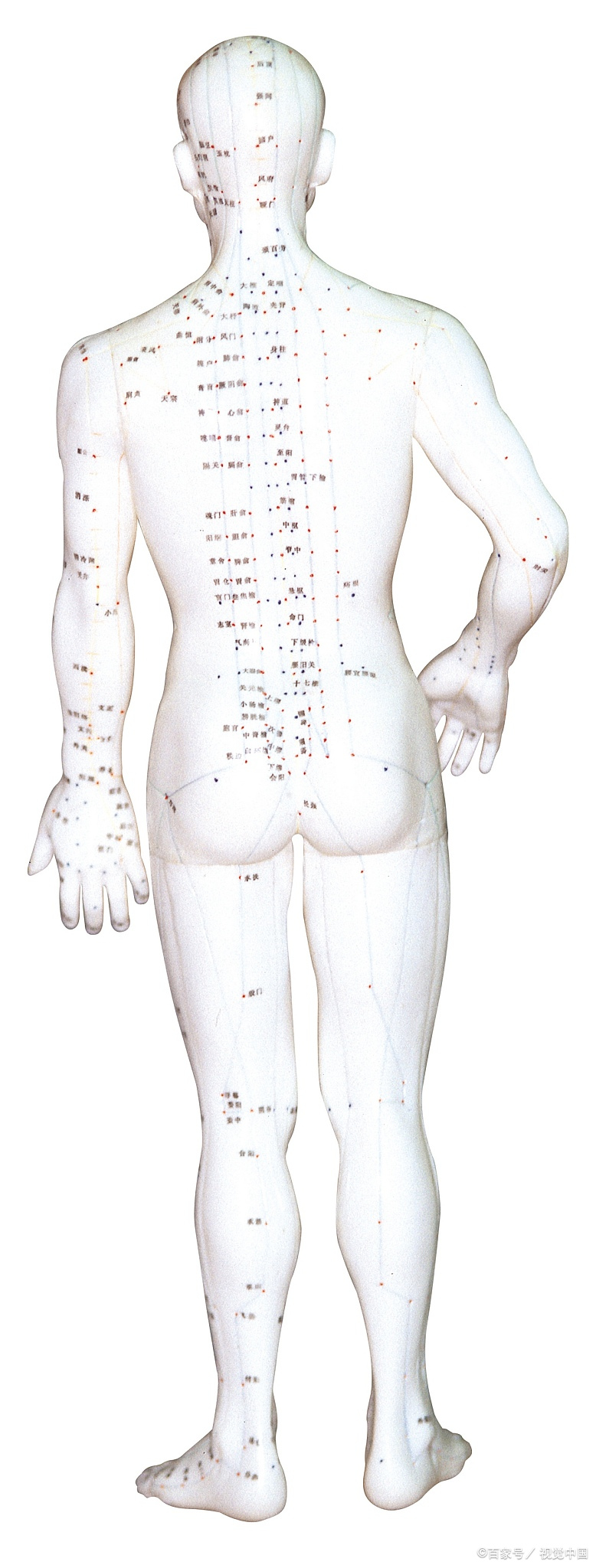 蜂蜜水润喉夜咳更凶?妇幼:两件护嗓事或反效果,这样喝更顺当些