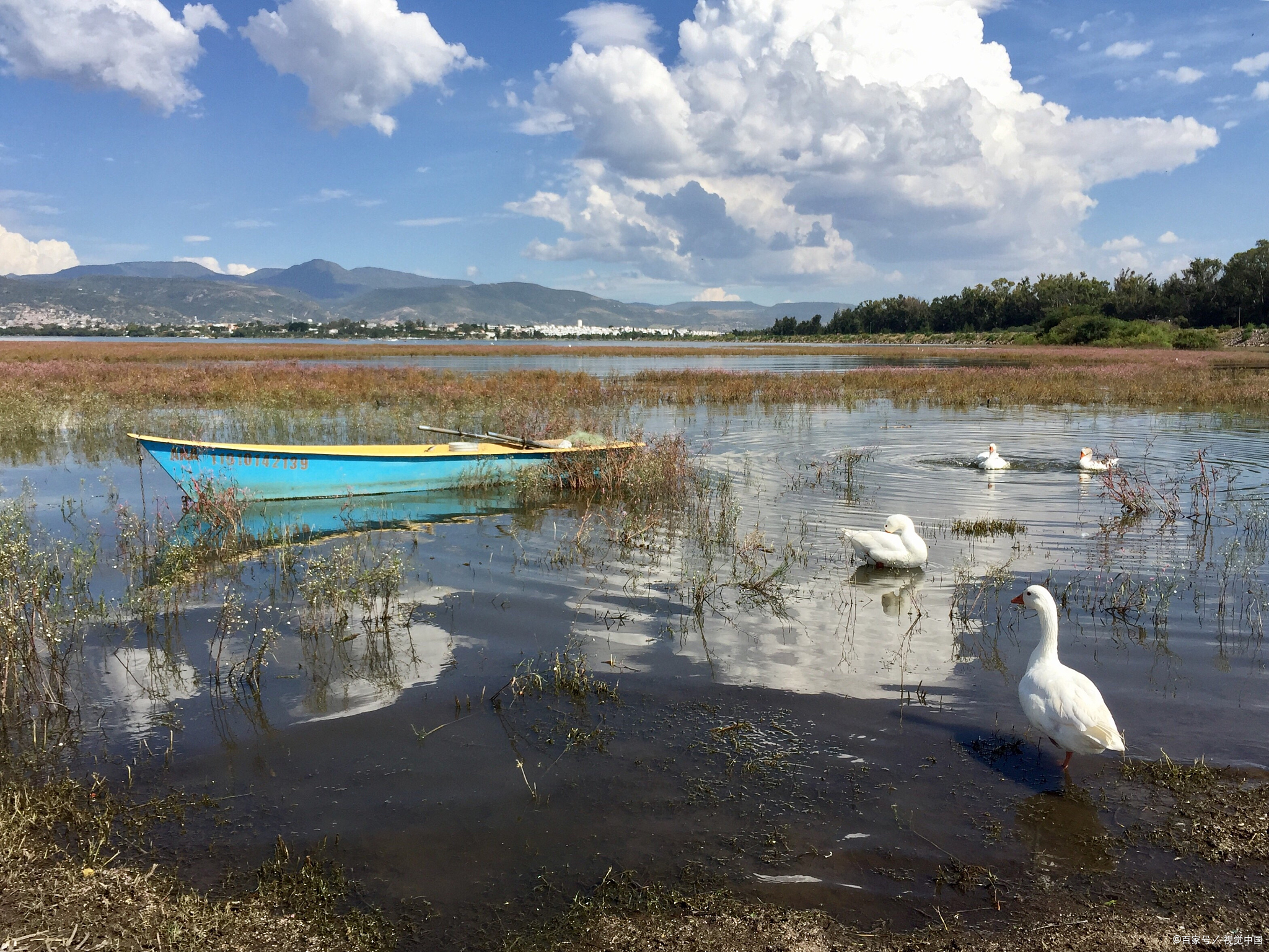 毕节草海旅游最佳季节图片