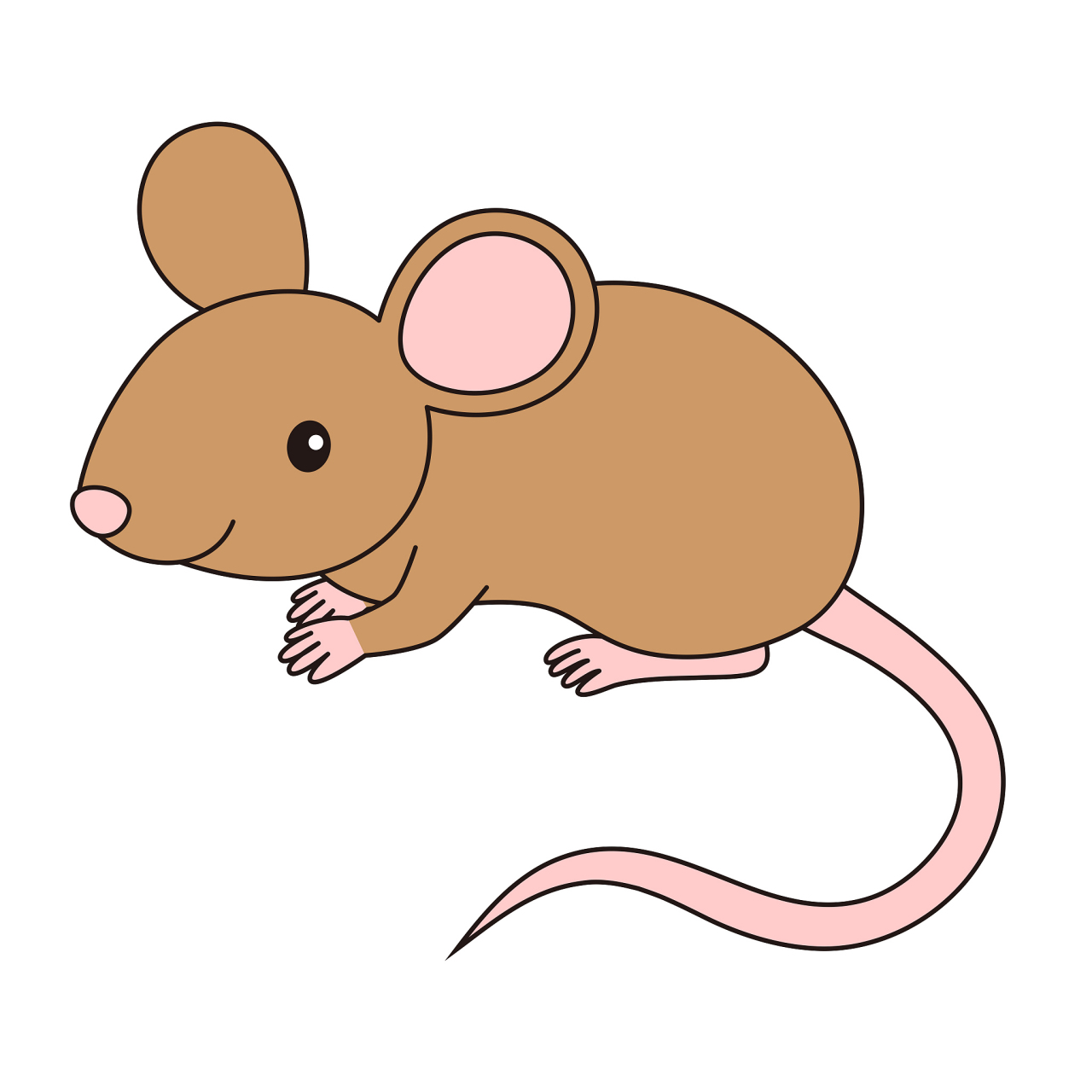 生肖鼠# 在2月29日这一天,属鼠的人将会迎来他们事业上的巅峰时刻.