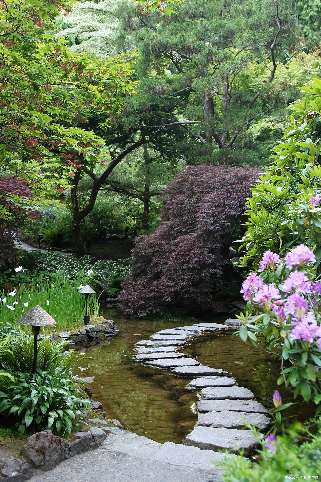 没有条件的付出,就只能会成为自缟虾 风景园林图片