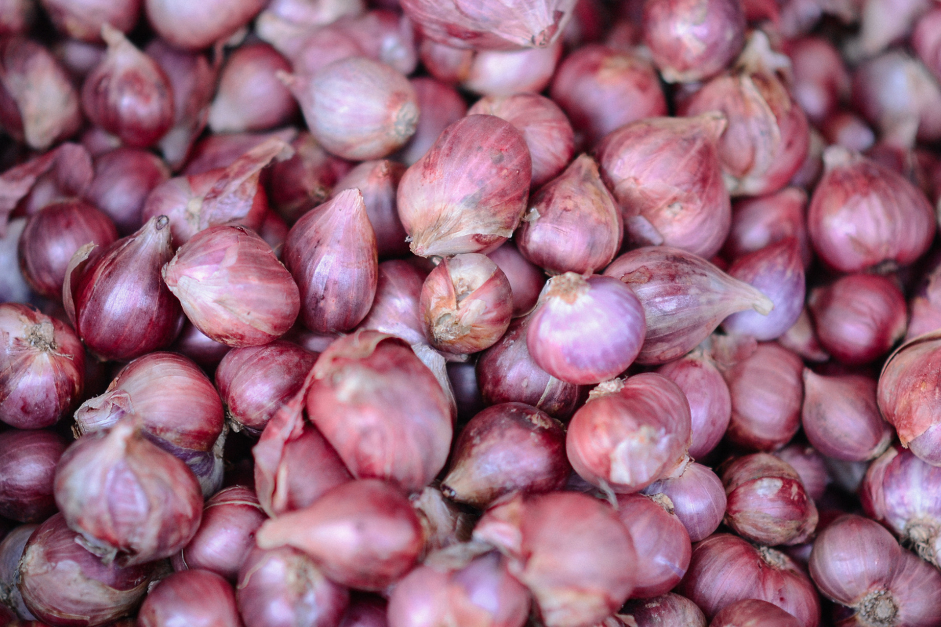 宝坻红皮大蒜,不只是调味,更是天津的文化符号 宝坻红皮大蒜,这个听