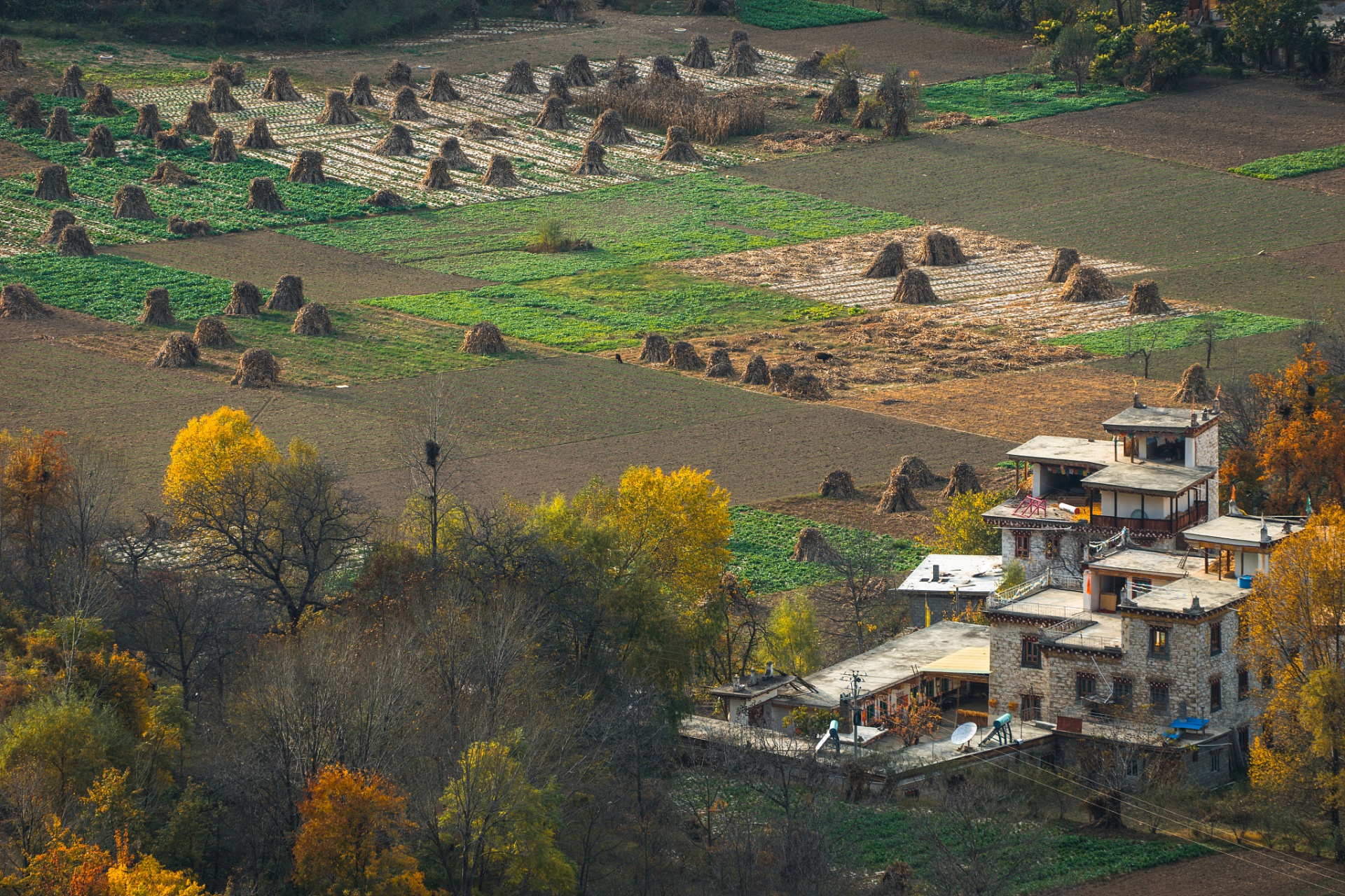 穿越时空的旅行# 在萨嘎县的深处,隐藏着一片神秘的古村落.