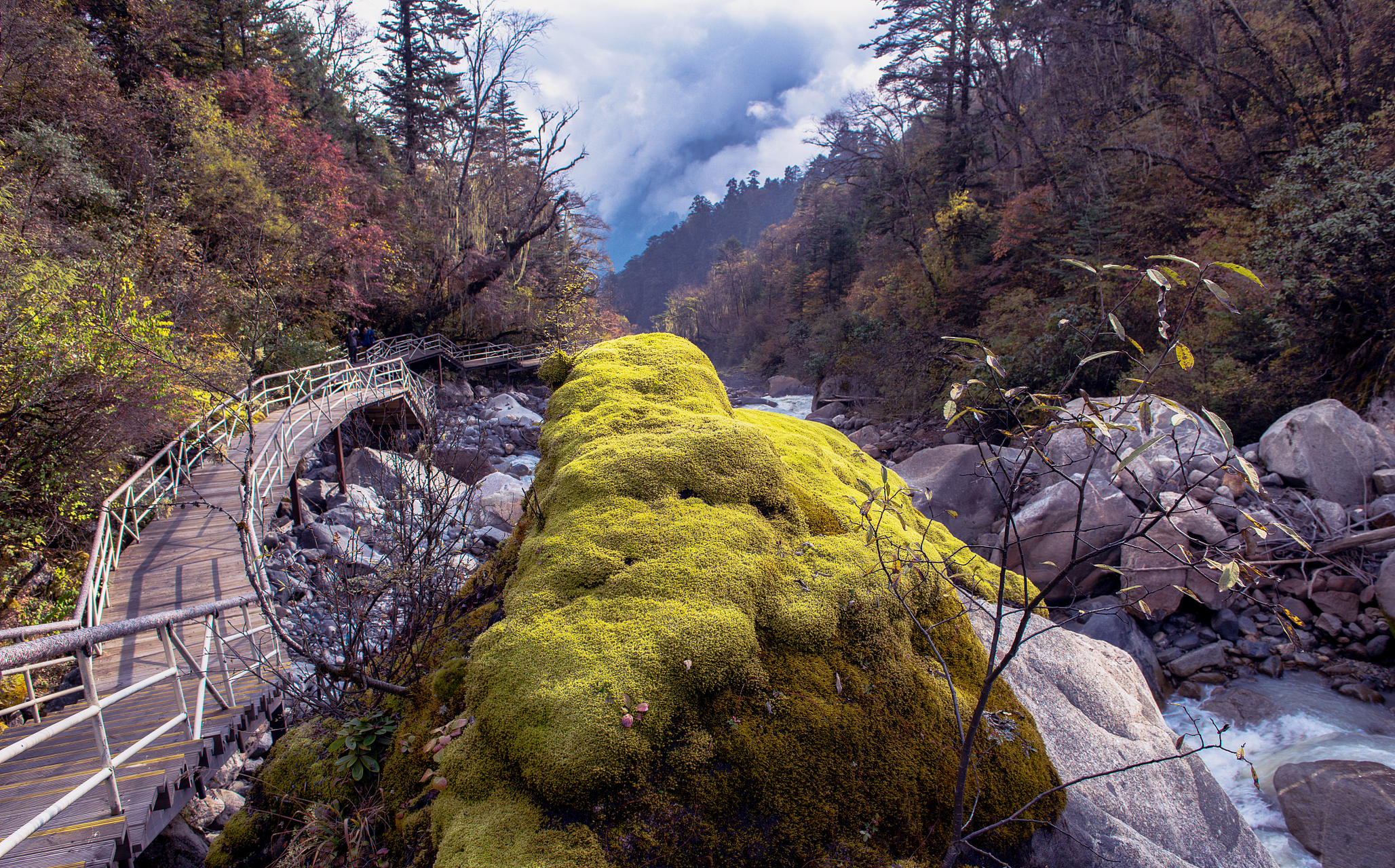 四川旅游#  四川甘孜泸定燕子沟,一个不为人知的神秘仙境,一个拥有