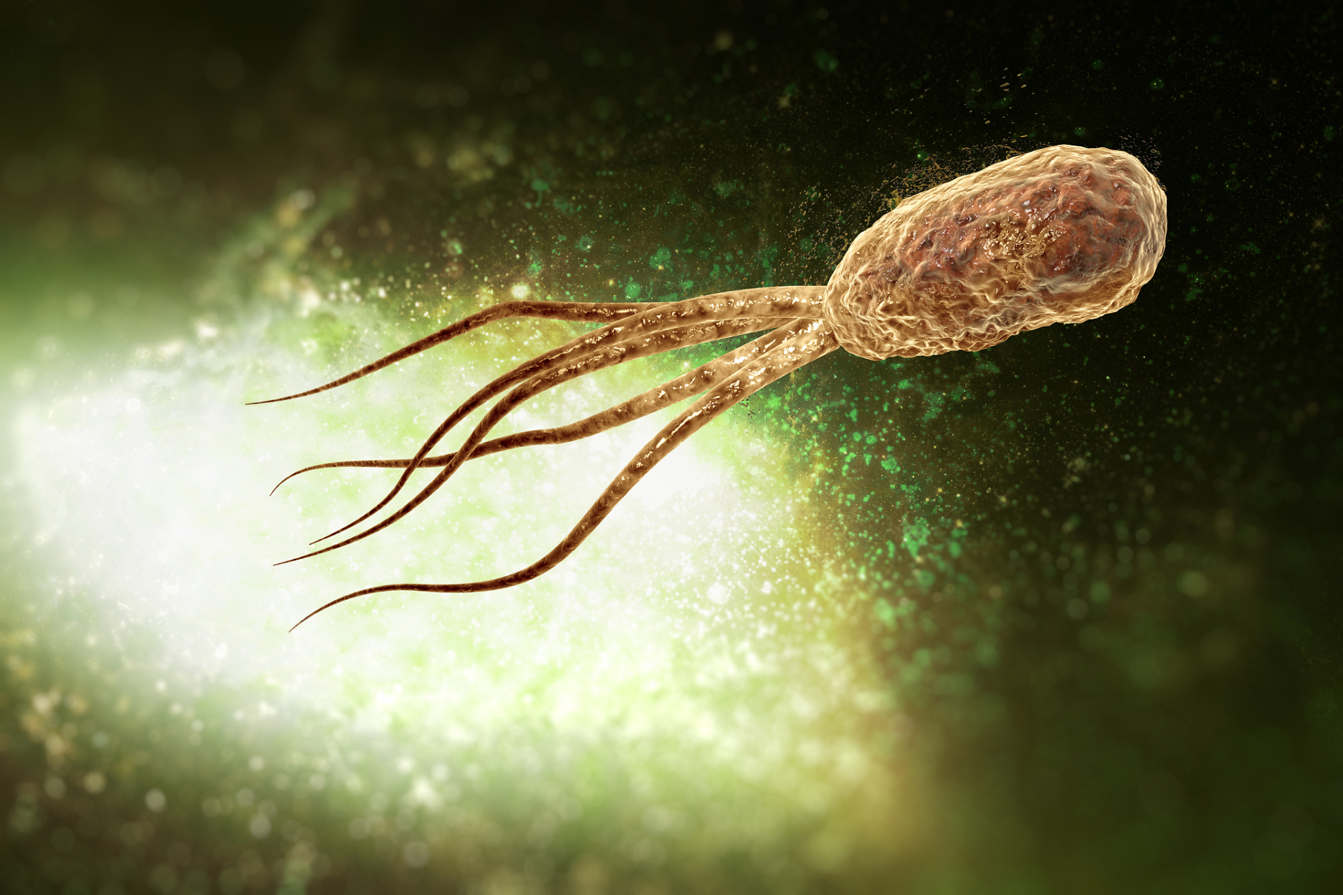 水螅的神奇之处  水螅具有以下神奇的特点:  1.