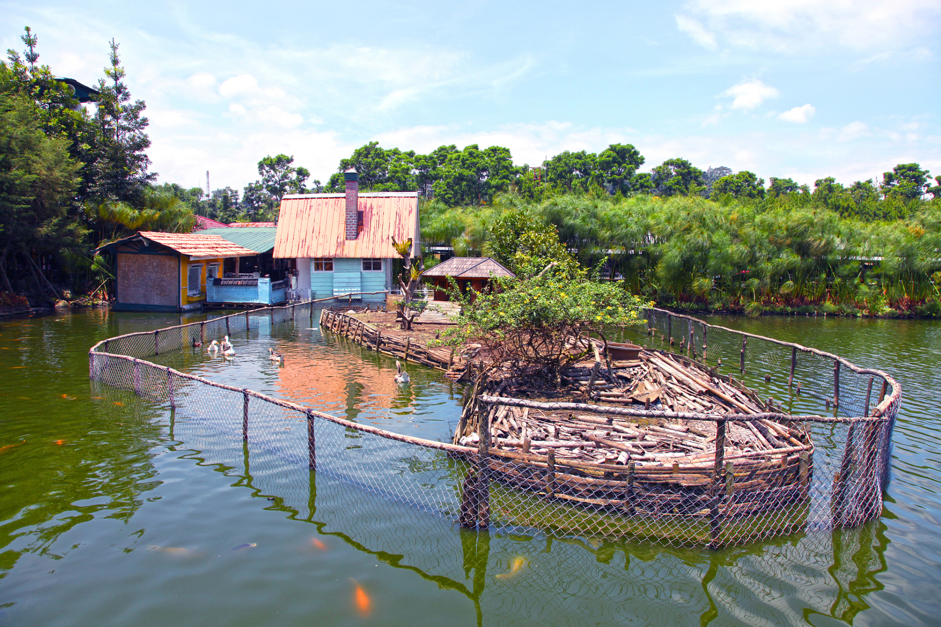 这一站就出发# 【海上田园旅游区】位于深圳市宝安区沙井街道办事 