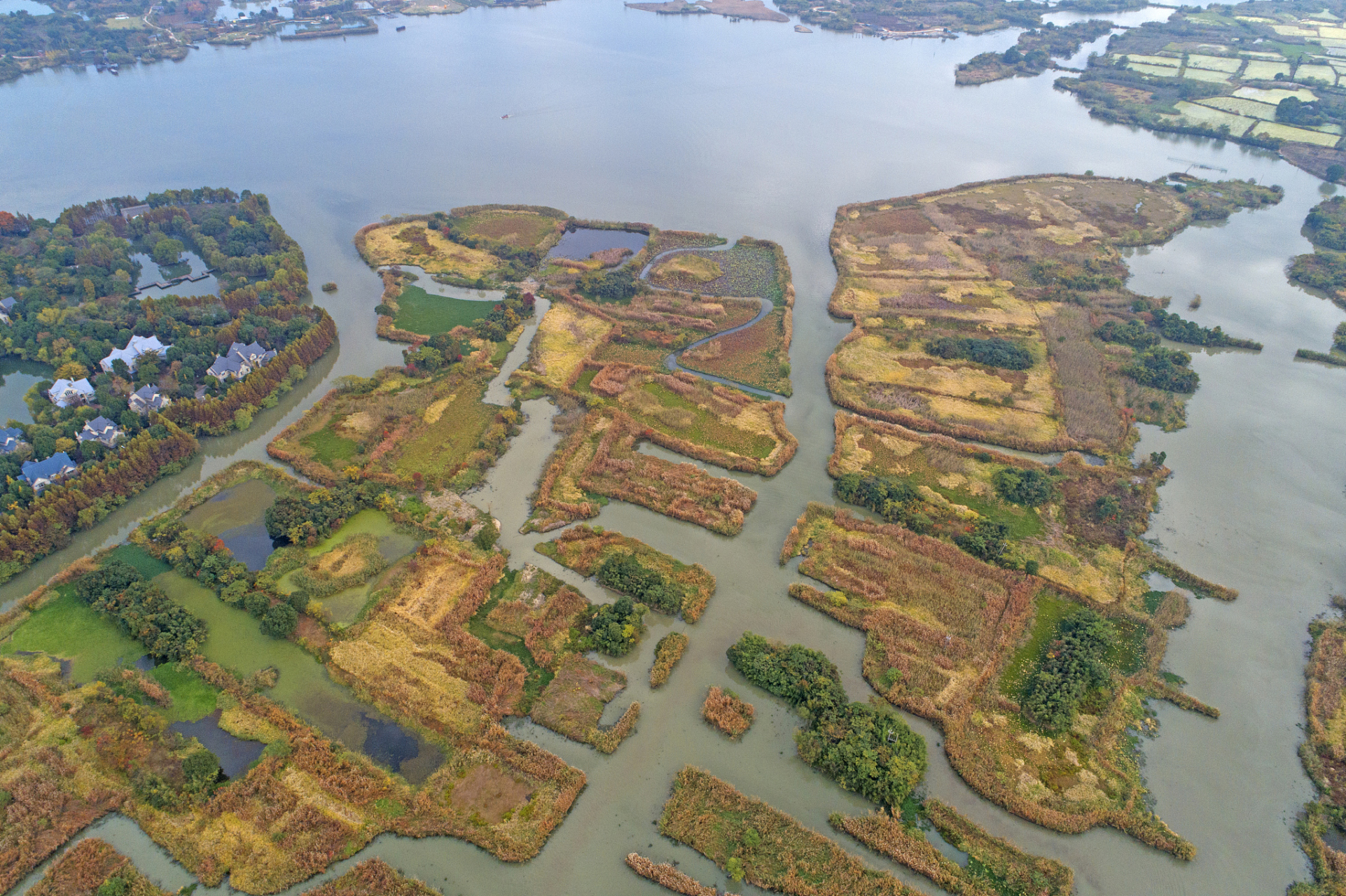 温州三垟湿地:位于温州市区西部,是温州市最大的城市湿地.