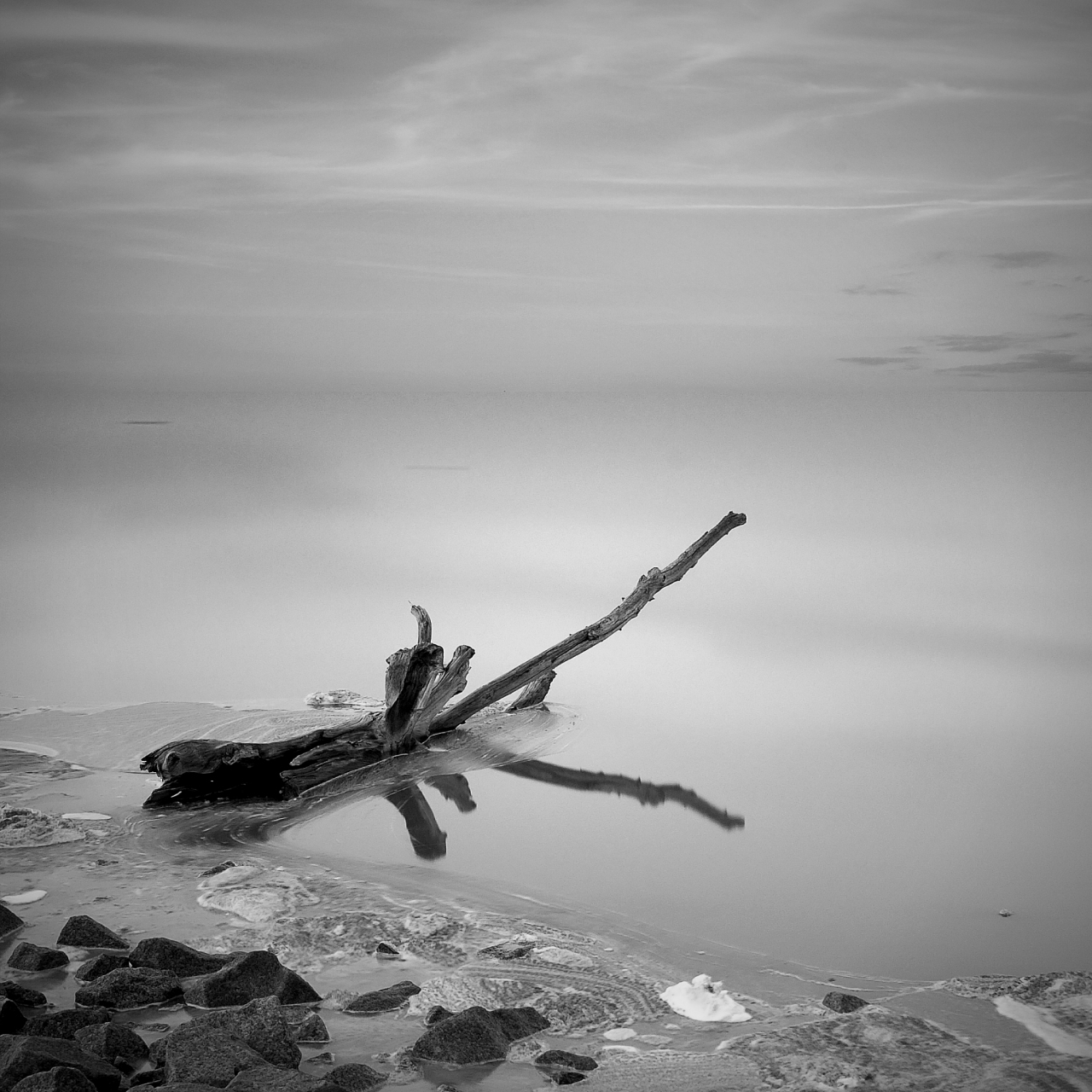 是我的伴侣 在这漫长的旅途中,我只能靠它来相伴  没有目的地的漂泊