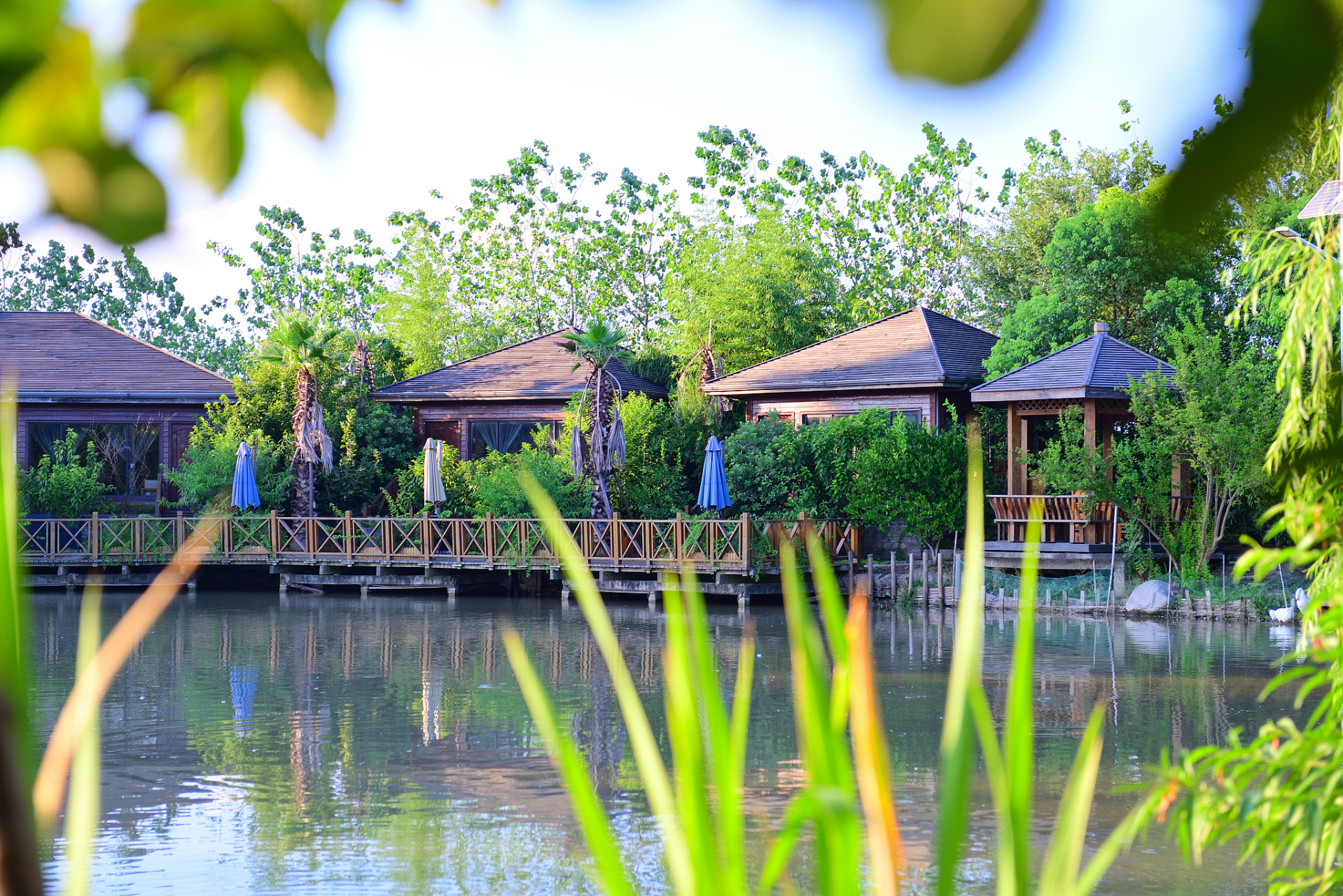 漫步在小桥流水间,看亭台假山映衬着绚丽的荷花,心