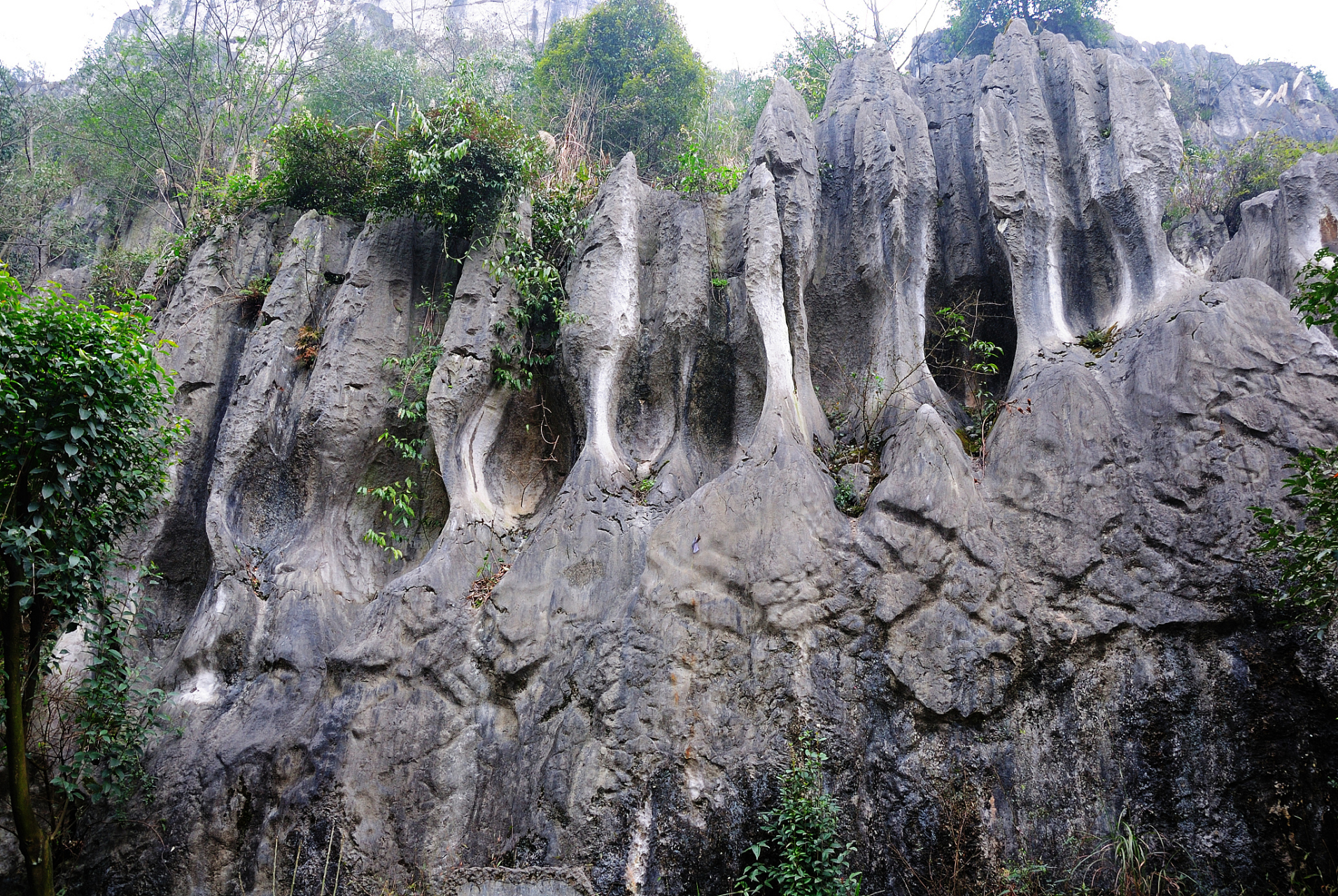 宜宾市最高的山峰图片