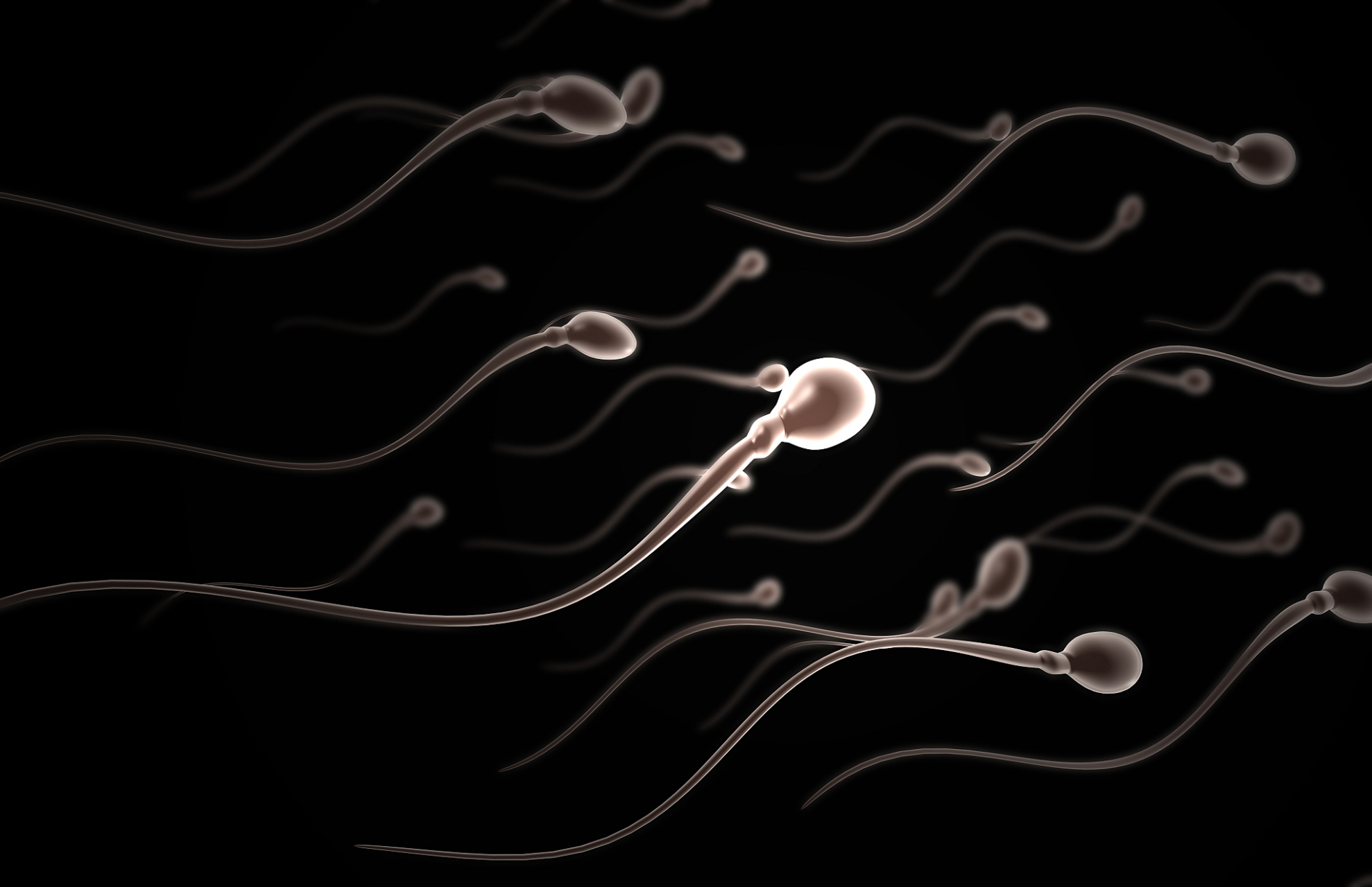 精子运动违背牛顿第三定律# 【[三哈]重温牛顿的第三定律,即"作用力