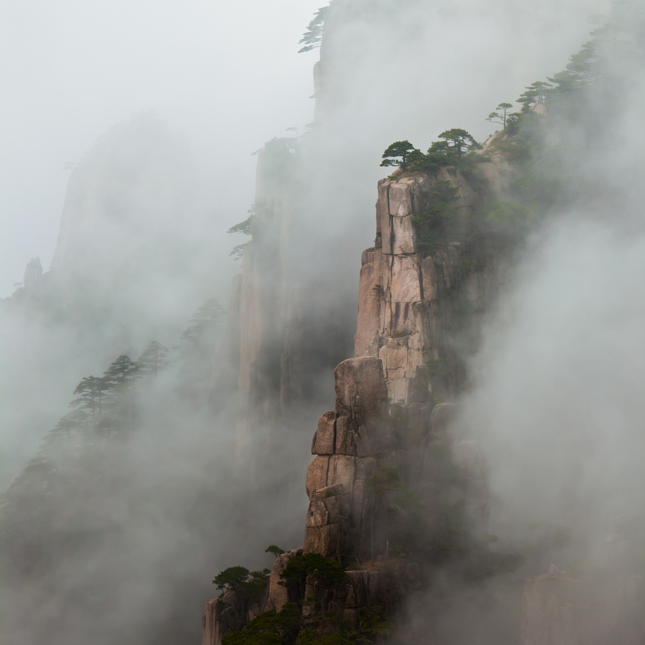 雨中云雾缭绕的黄山图片