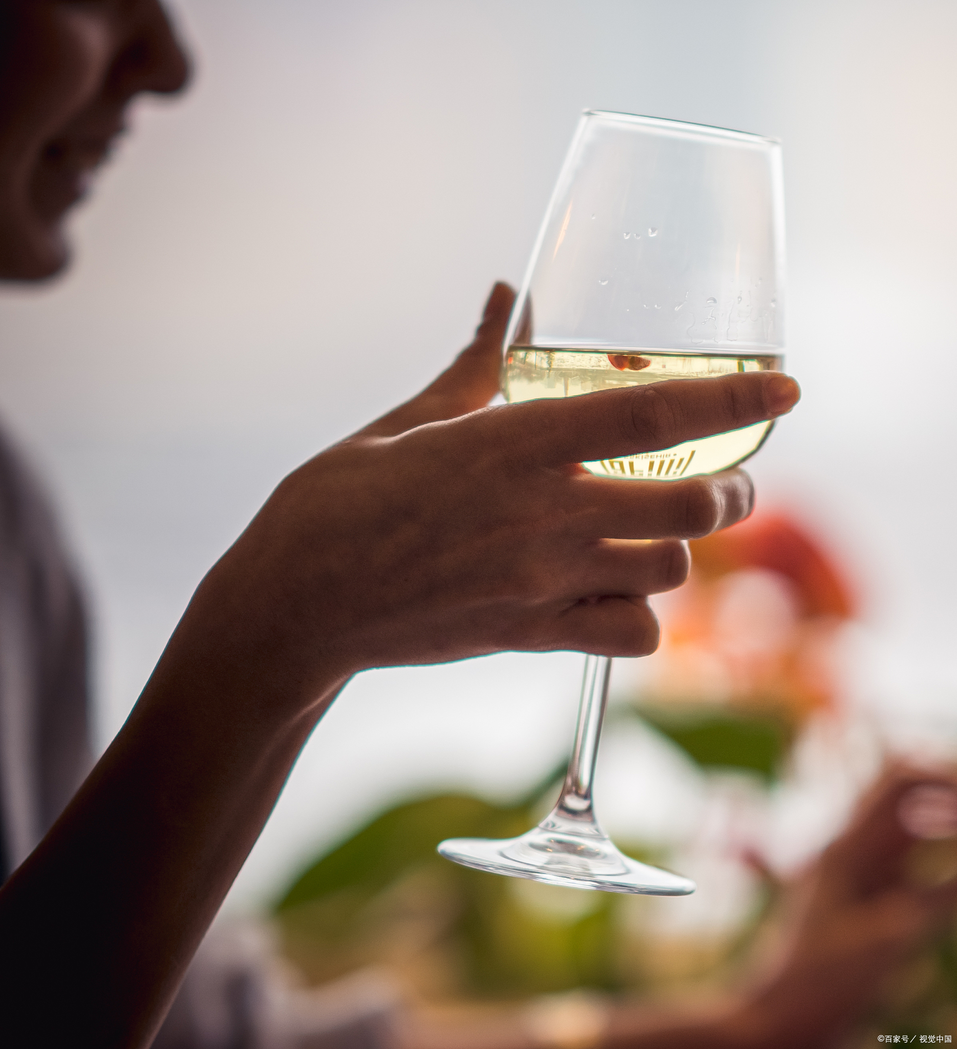 图片夜晚手拿一杯红酒图片杯子人图片夜晚举酒杯的手势图片拿酒杯手势