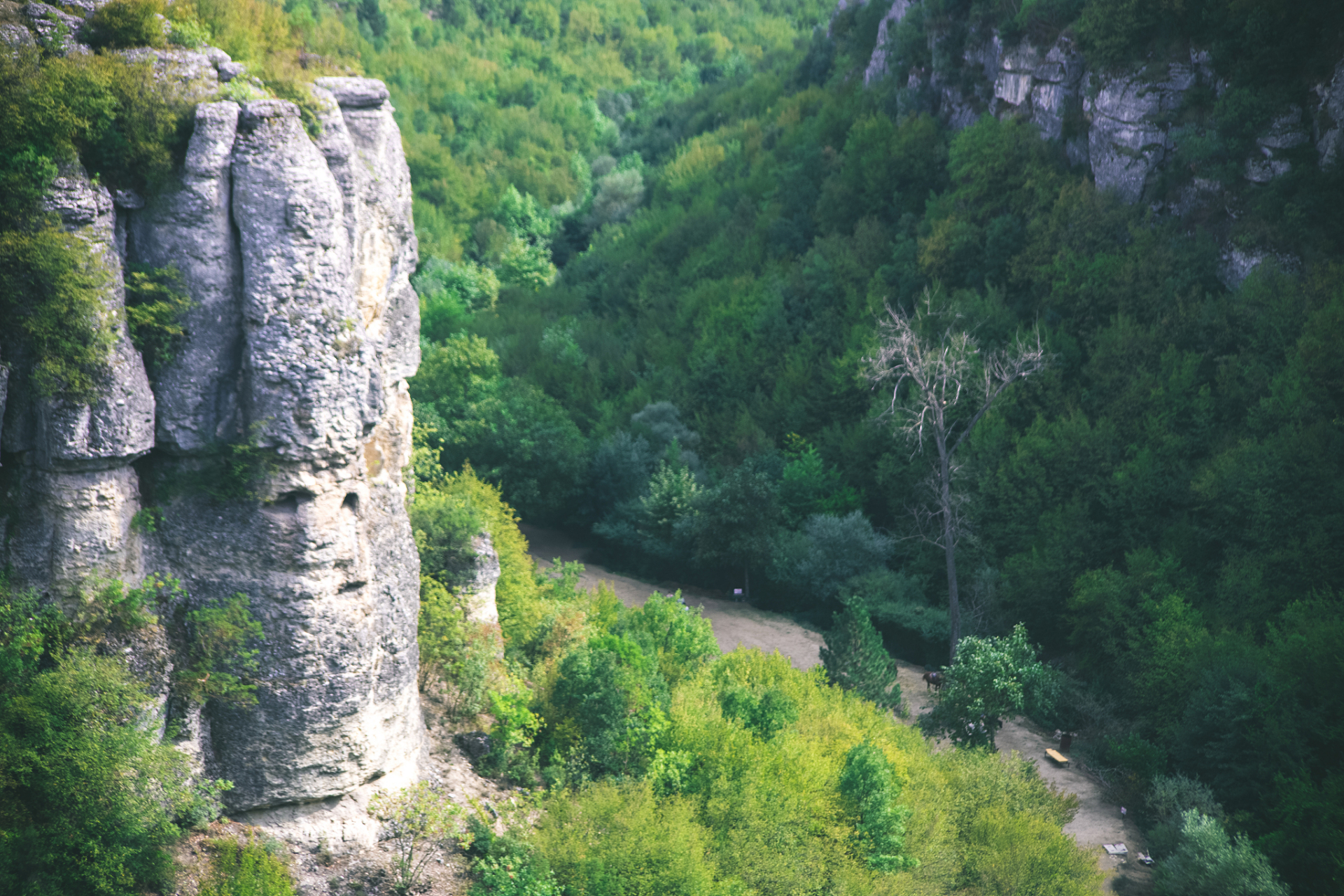 秋意正浓,追寻自然之美,不妨前往贺兰山脚下的宁夏明珠——苏峪口国家