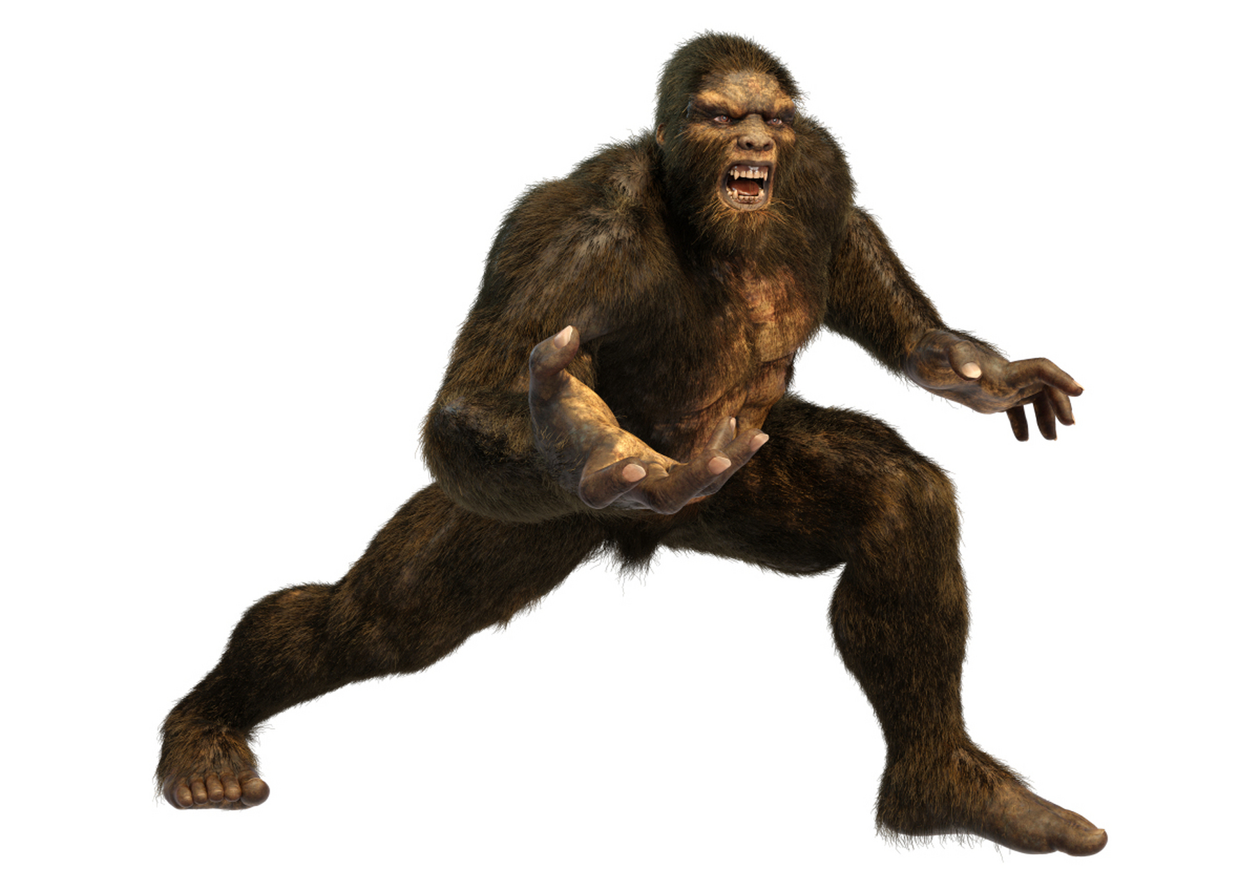 根据资料的描述,迄今为止,我们的学者们在非洲发现了数百件南方古猿的