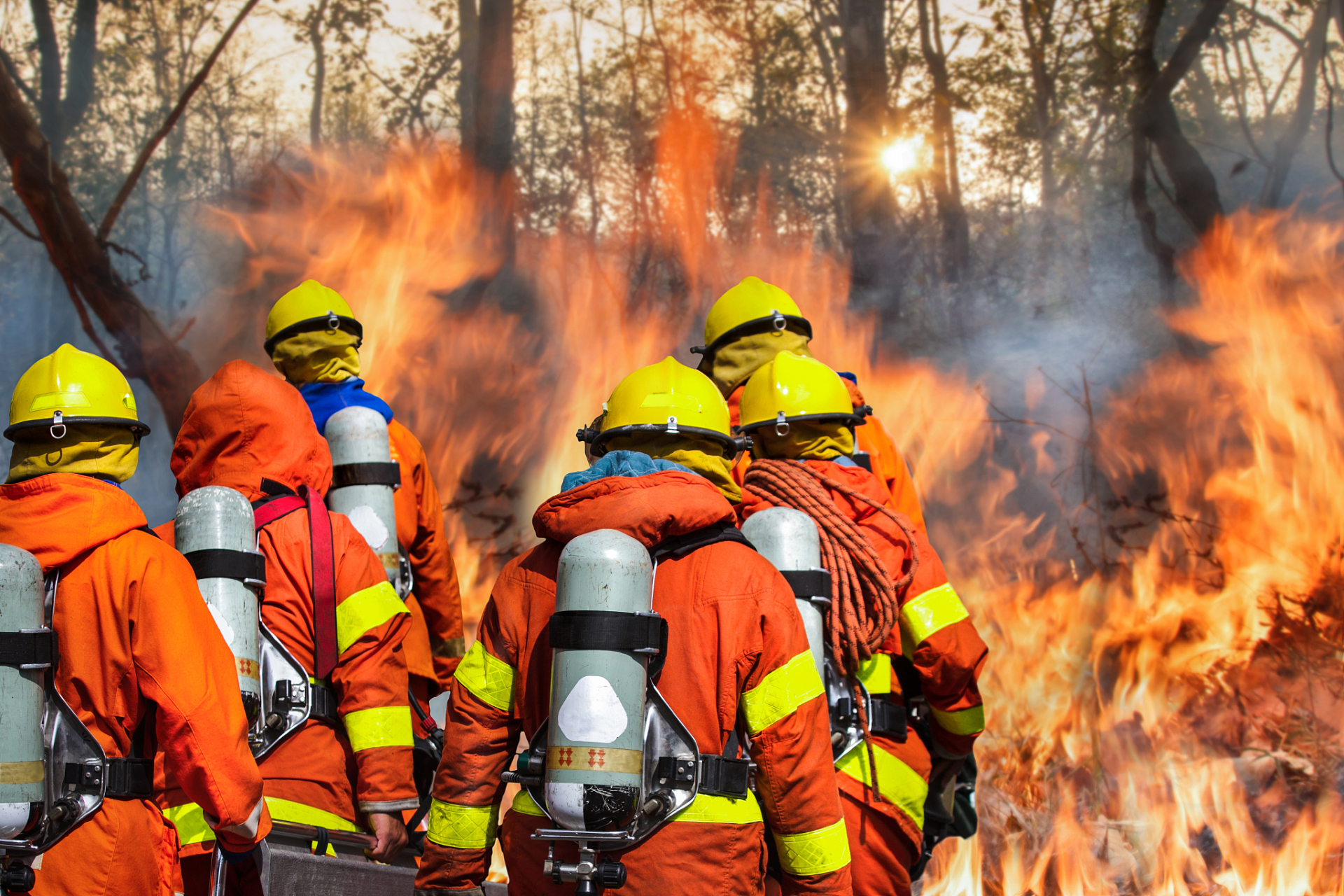 寻找百度ai写手计划# #全国消防宣传月#   每年的11月,全国上下都会