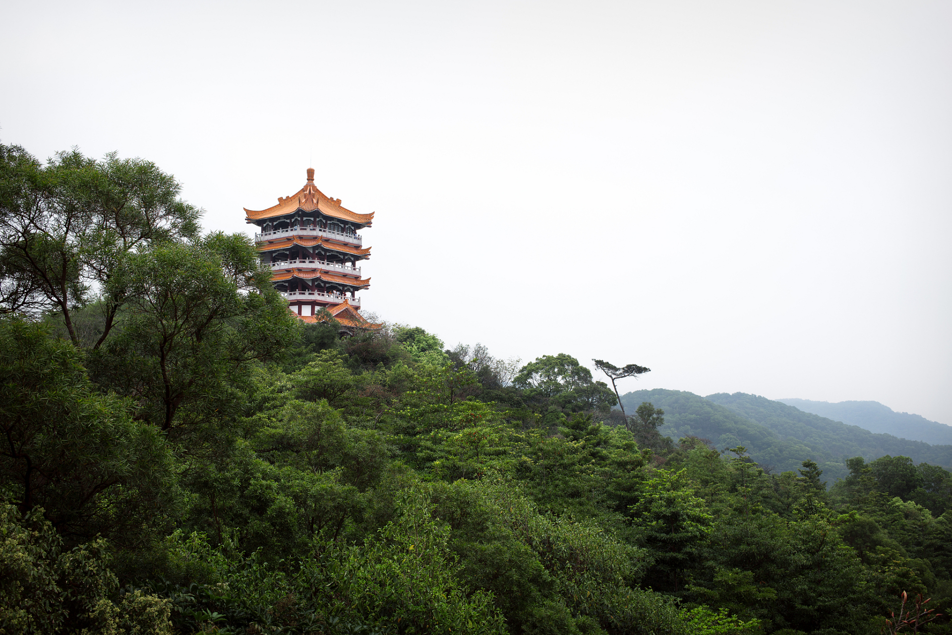 带着避暑攻略上热搜#夏日来临,南充西山是你绝对不能错过的目的地!