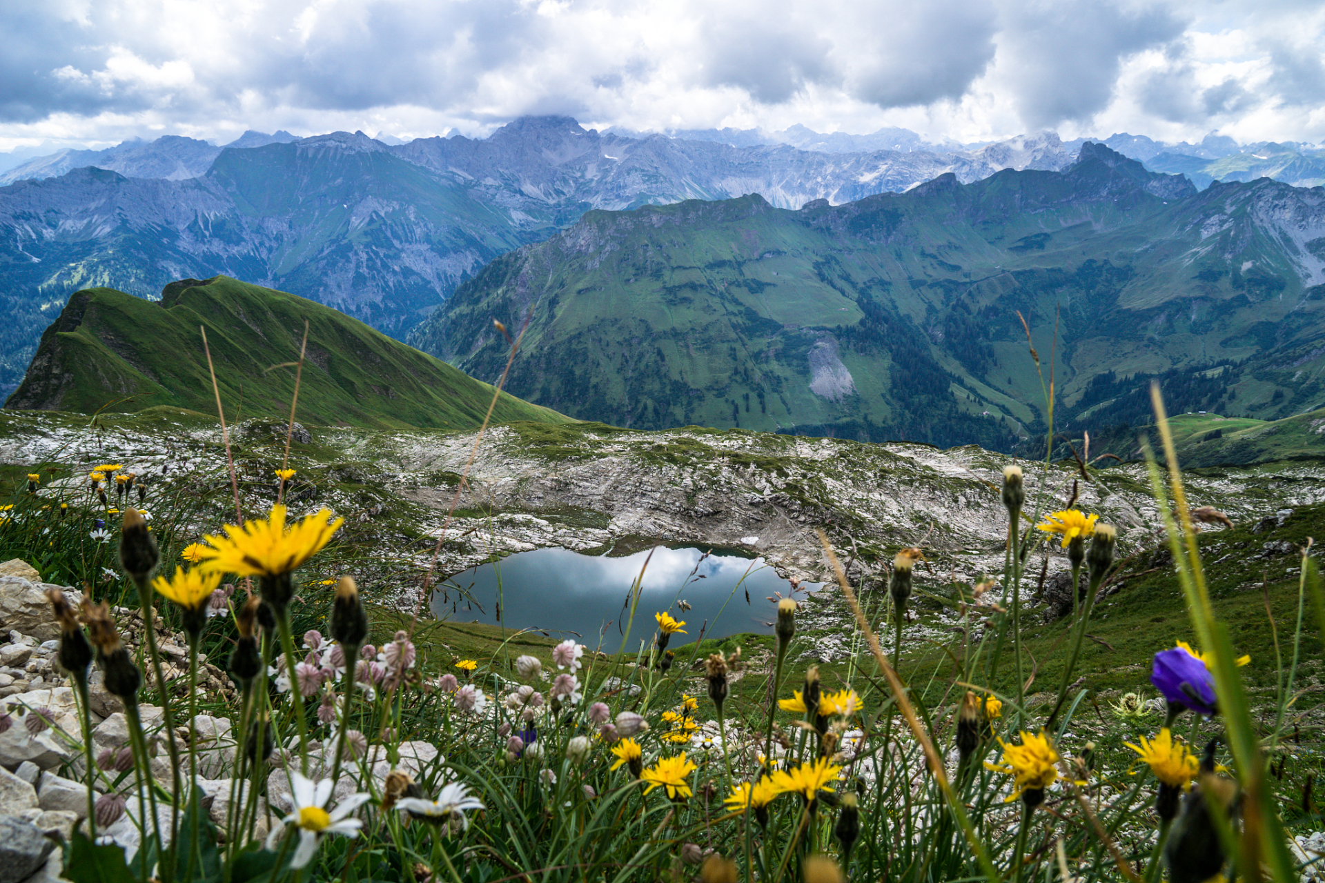 奇遇那拉提#新疆那拉提雪莲谷是新疆著名的自然景区之一,在白天已经