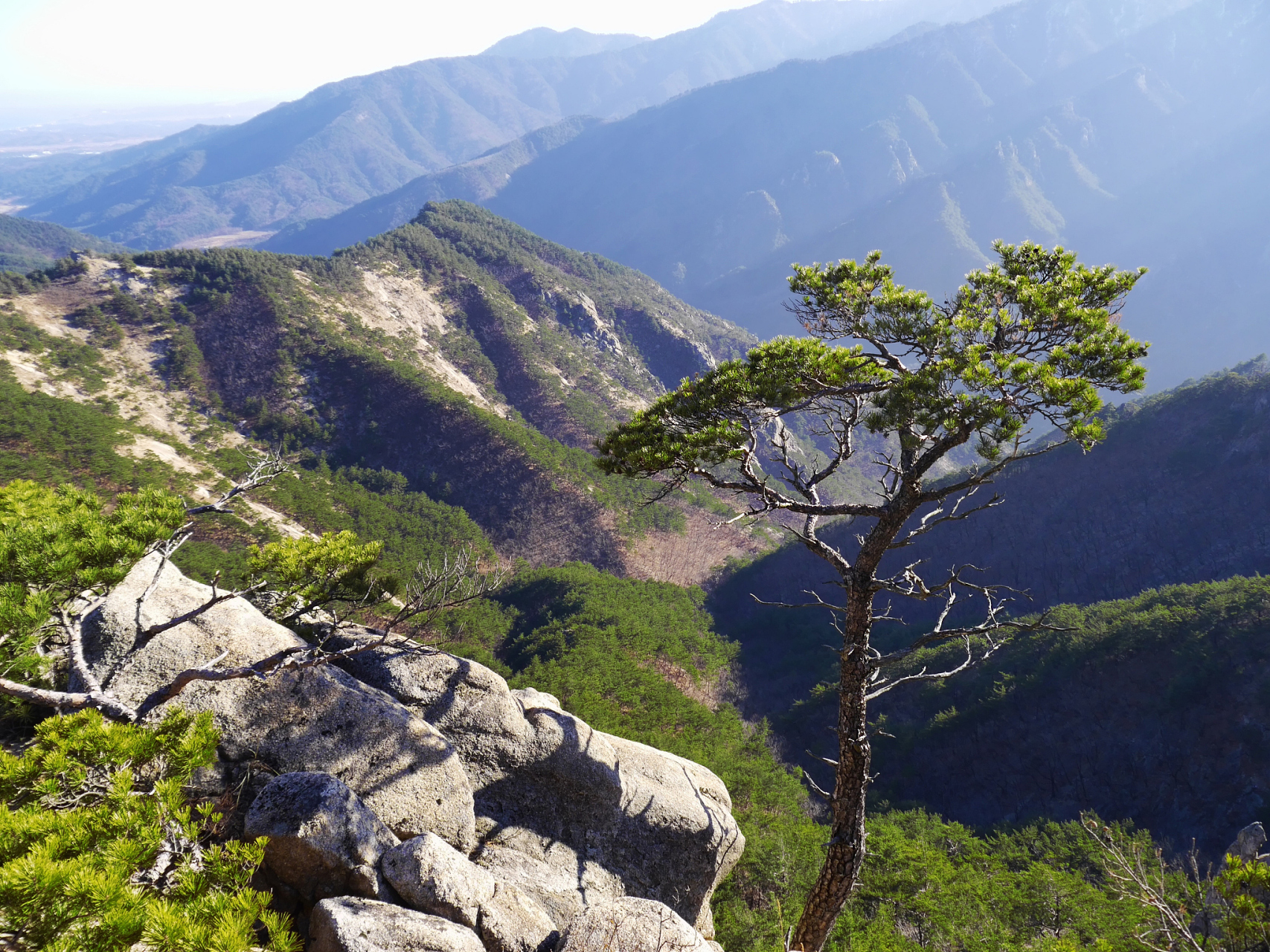 成都九峰山海拔图片