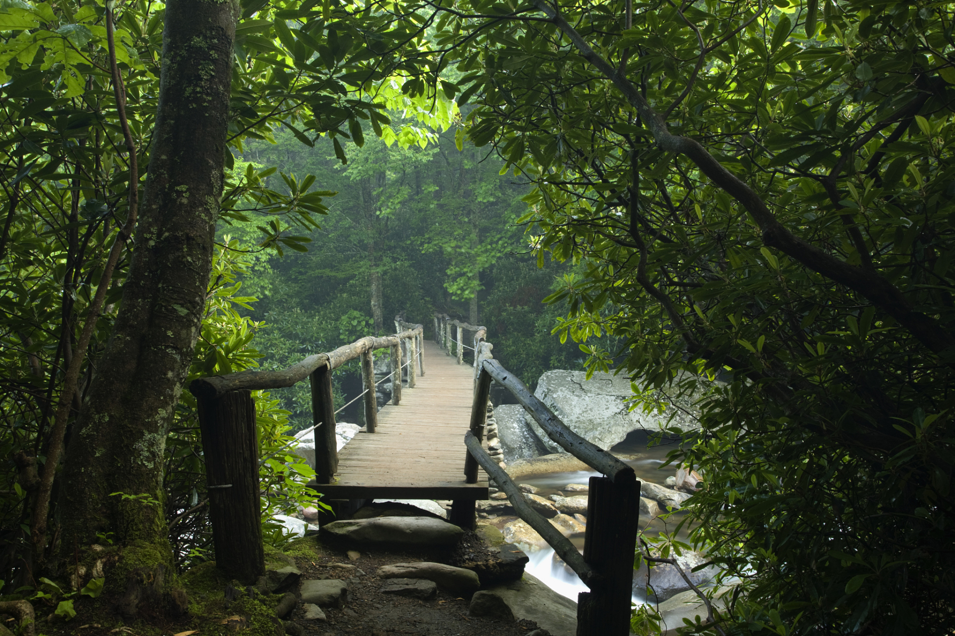 罗溪国家森林公园自然风光以高山称雄,以秀水称美.