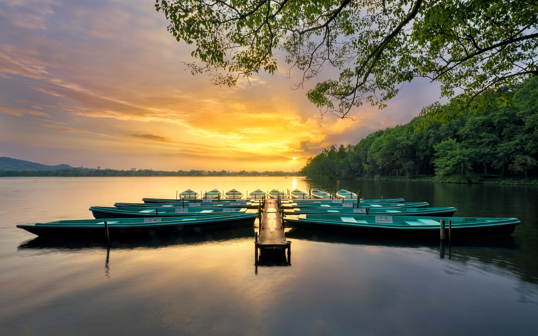 林升,字云友,又字梦屏,温州横阳亲仁乡荪湖里林坳(今属苍南县繁枝林坳