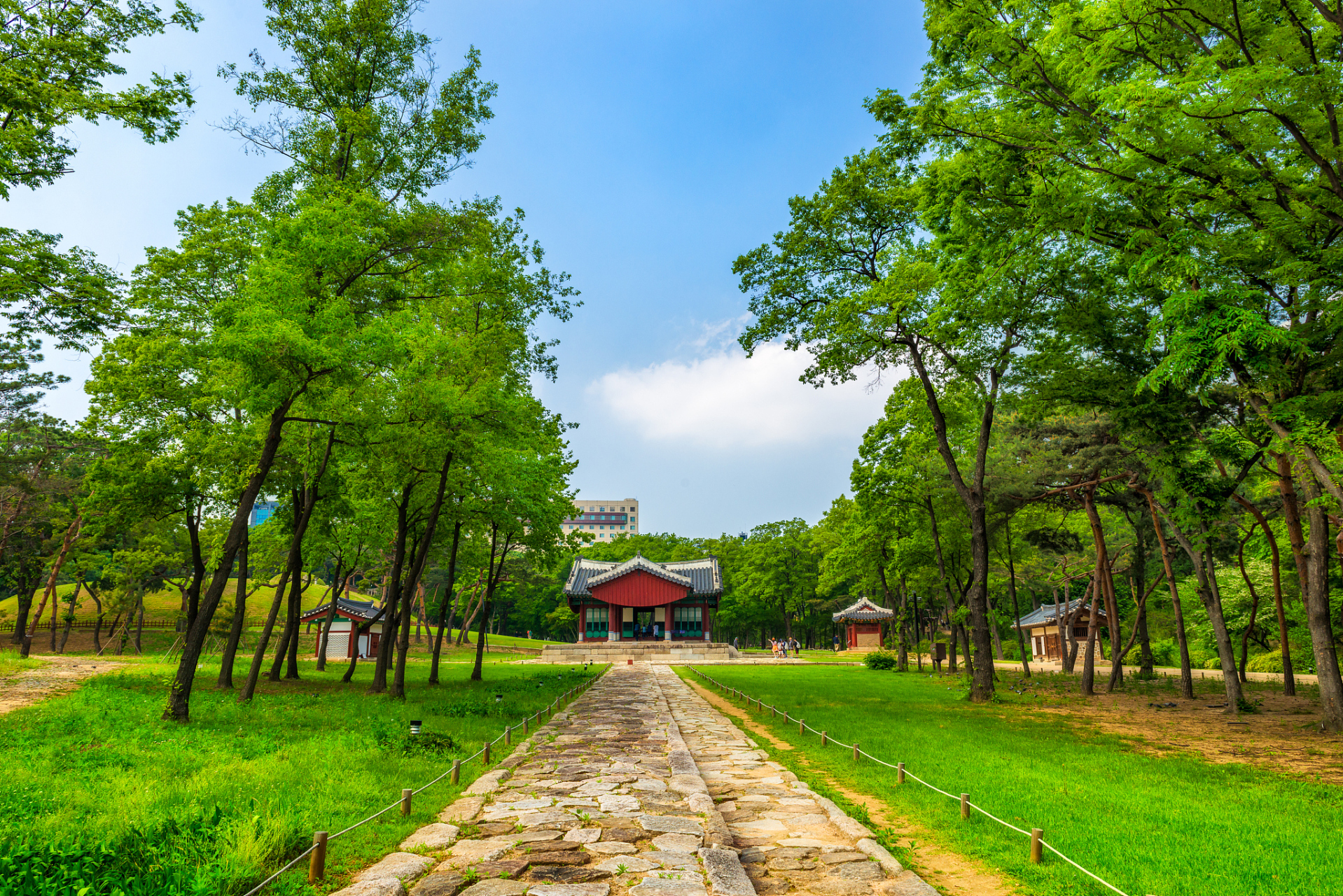 探索自然,走进方城县大寺森林公园!