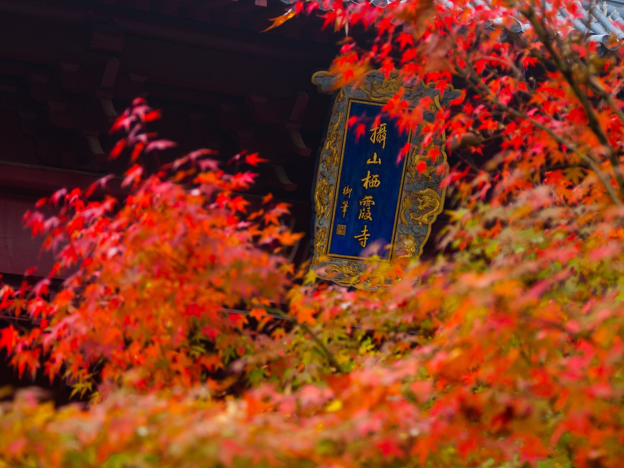 谈香山浪漫旅游区图片