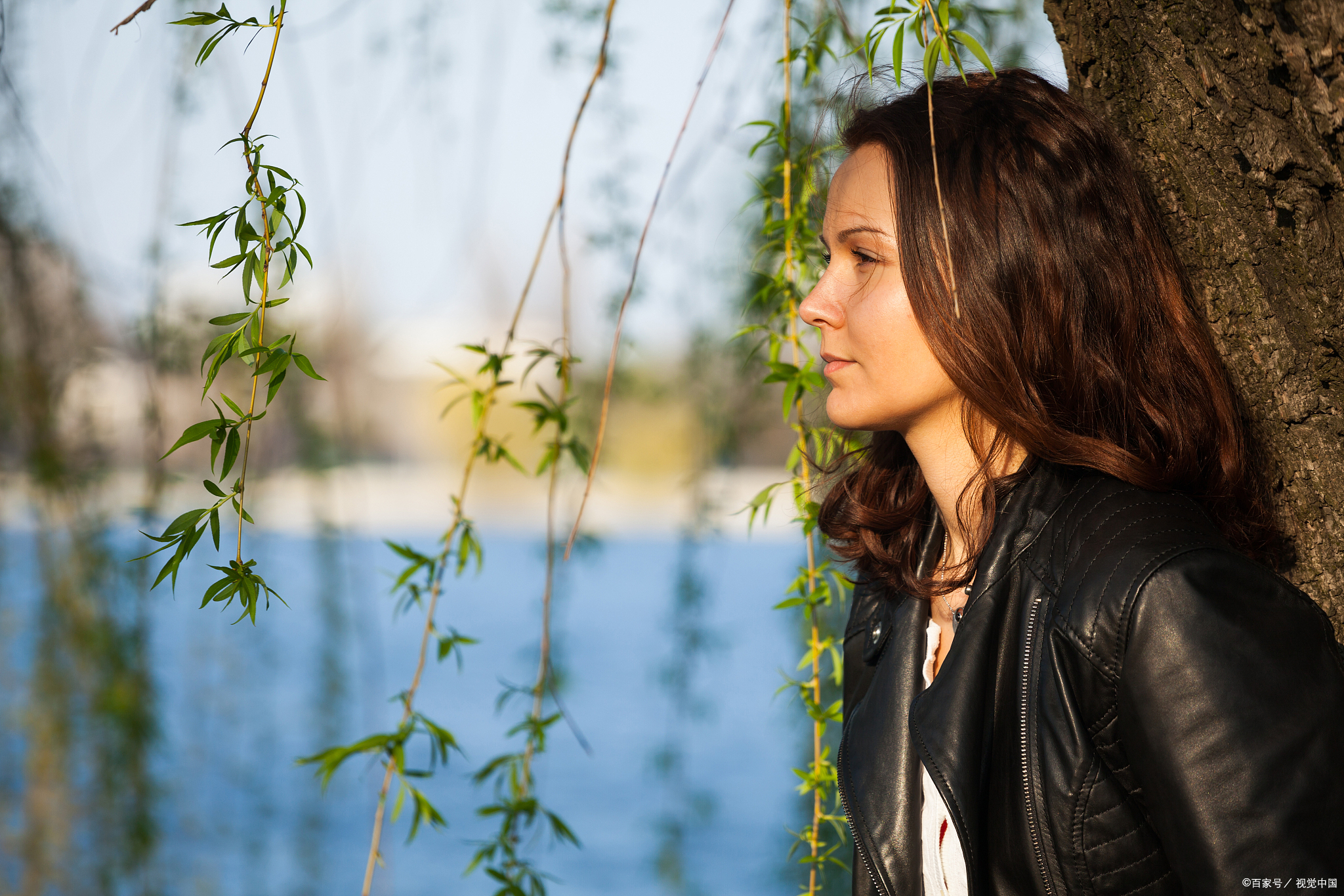 人和树都有一种本能的向往