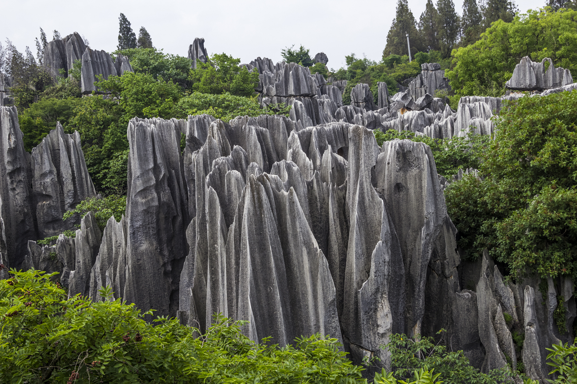 石林:石林位于云南省昆明市,是一个典型的喀斯特地貌景区.