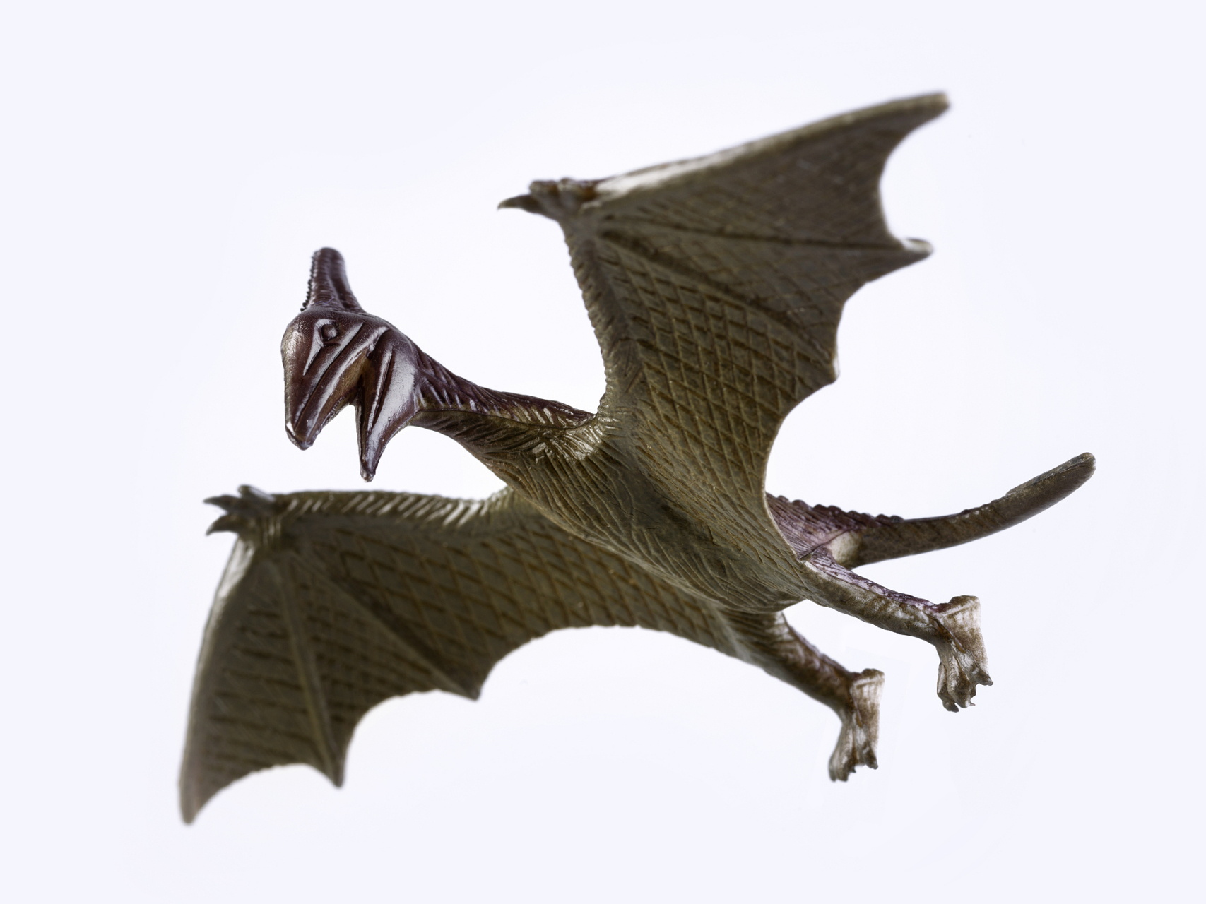 巴西古生物学家# #翼龙#  想象一下,在远古时代,天空中飞翔着一种身