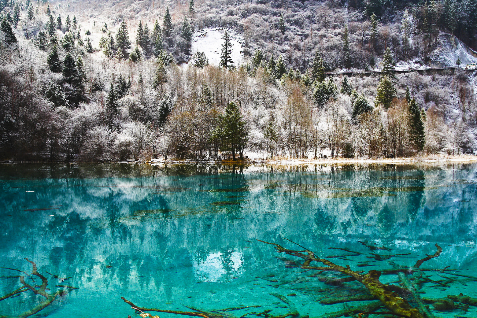 在秋日九寨沟这幅画卷中,最引人注目的便是那雄伟壮观的雪山.